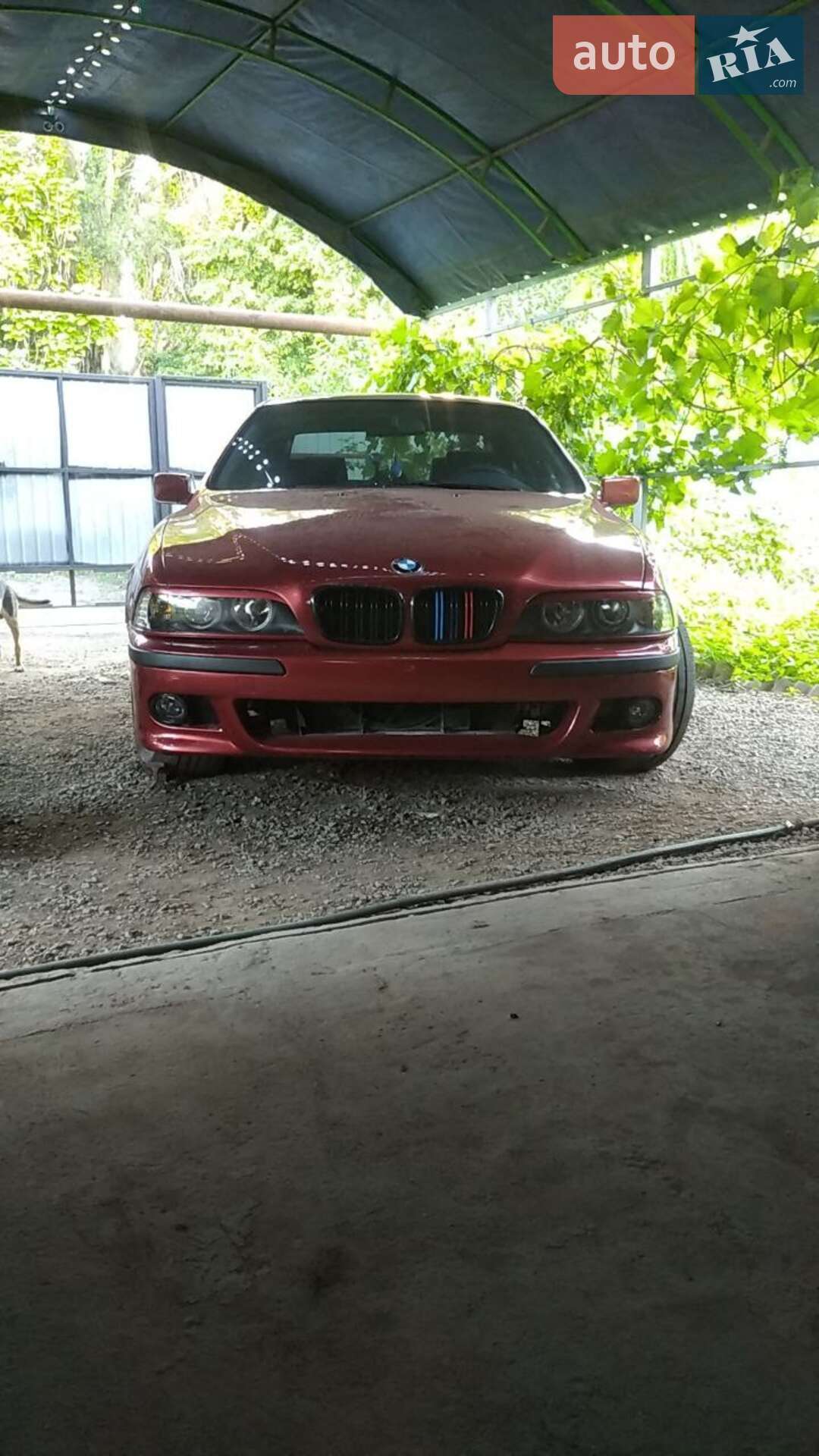 BMW 5 Series 1997 VIN WBADD11070BN34852 фото оголошення 16 з 16