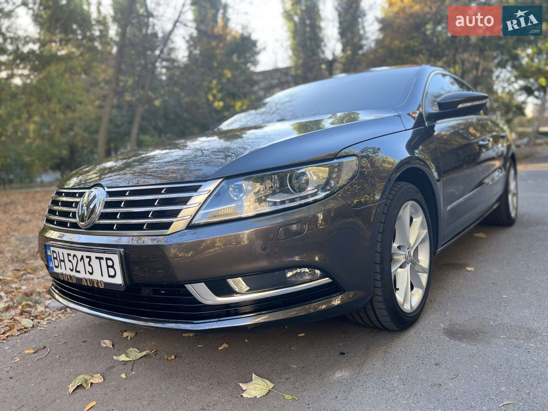 Volkswagen CC / Passat CC 2013 VIN WVWZZZ3CZDE553980 фото оголошення 15 з 22