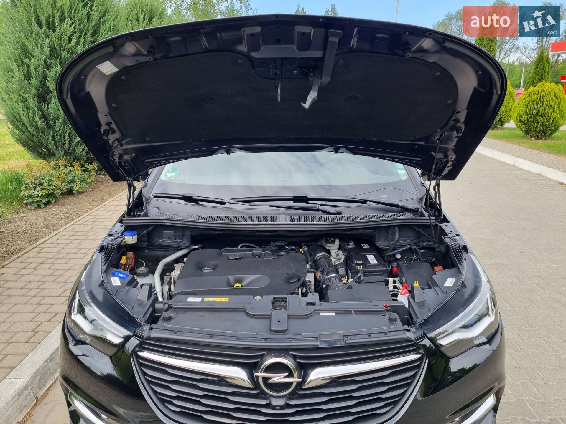Opel Grandland X 2020 VIN W0VZJEHZ0LS052862 фото оголошення 39 з 67