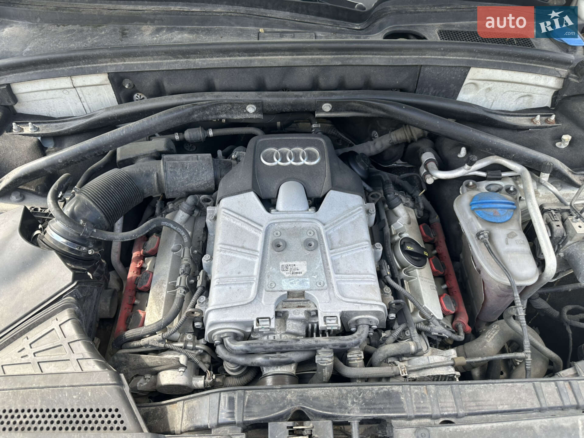 Audi Q5 2016 VIN WA1W7AFP6HA029289 фото оголошення 39 з 39
