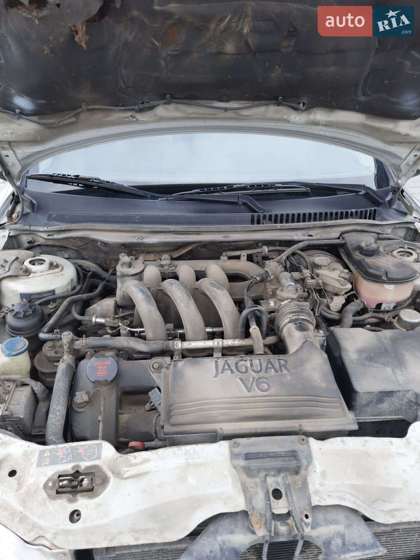 Jaguar X-Type 2006 VIN SAJAE51SX6YE88293 фото оголошення 19 з 20