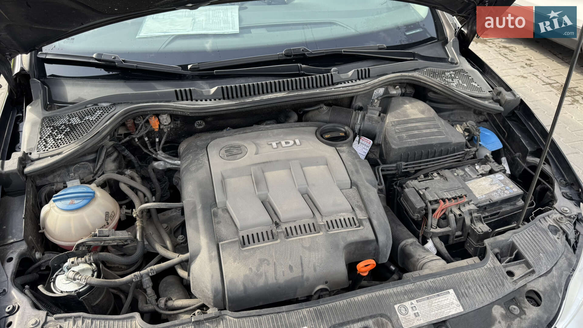 SEAT Ibiza 2011 VIN VSSZZZ6JZBR111442 фото оголошення 11 з 15