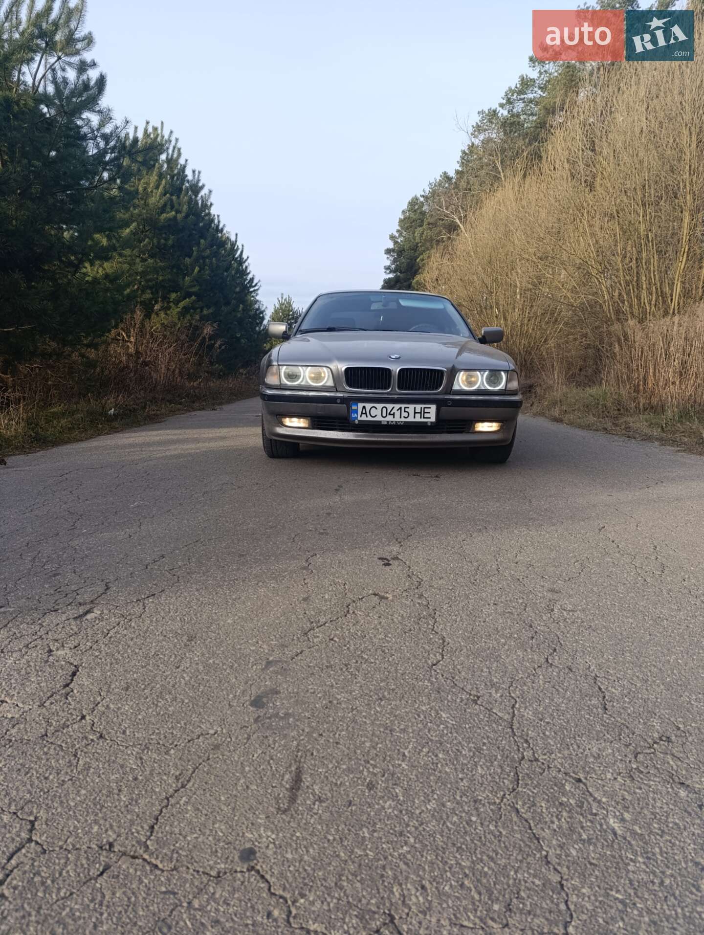 BMW 7 Series 1997 VIN WBAGF61020DG46020 фото оголошення 9 з 9