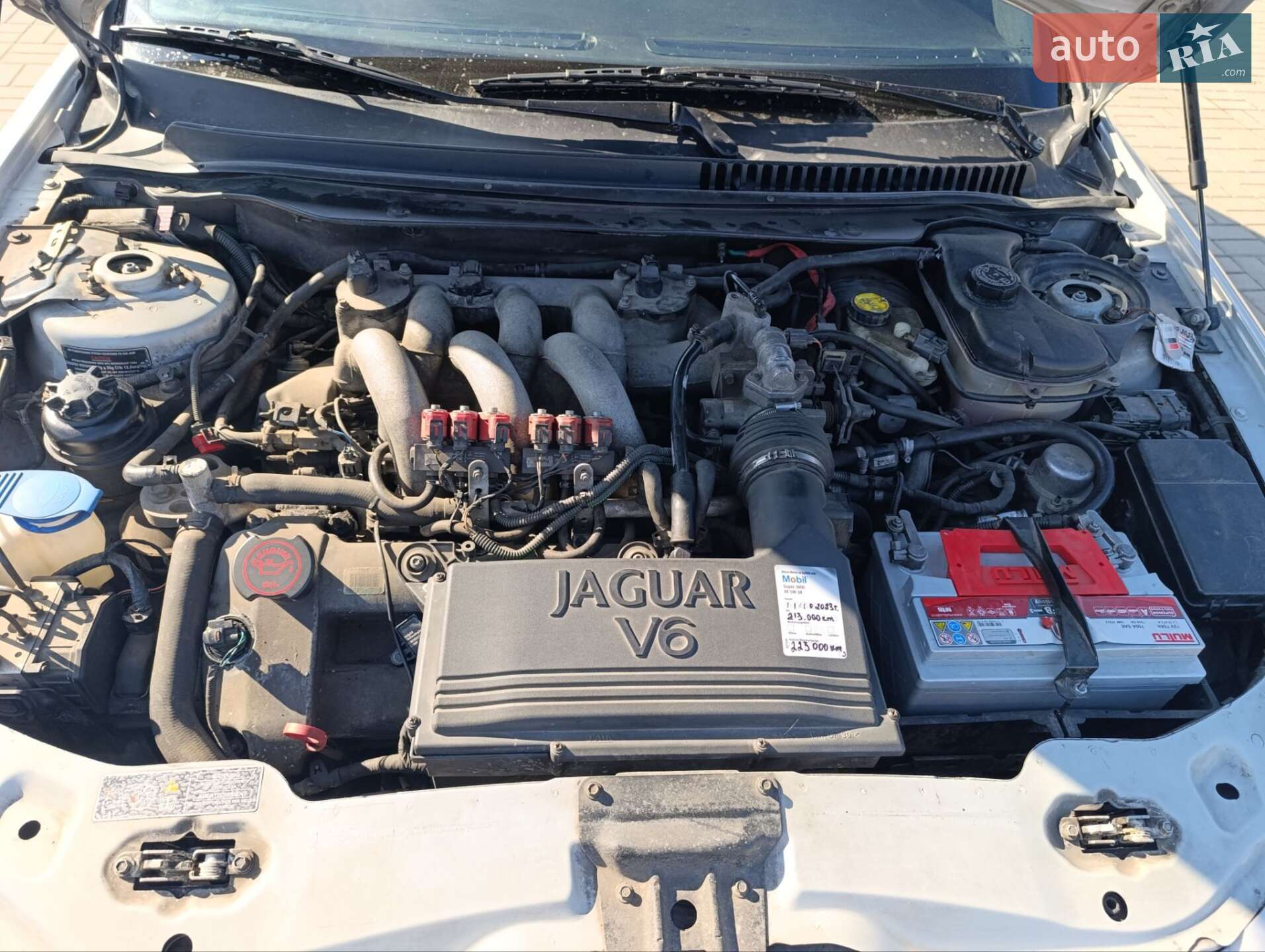 Jaguar X-Type 2004 VIN SAJAF53S52YC66703 фото оголошення 20 з 23