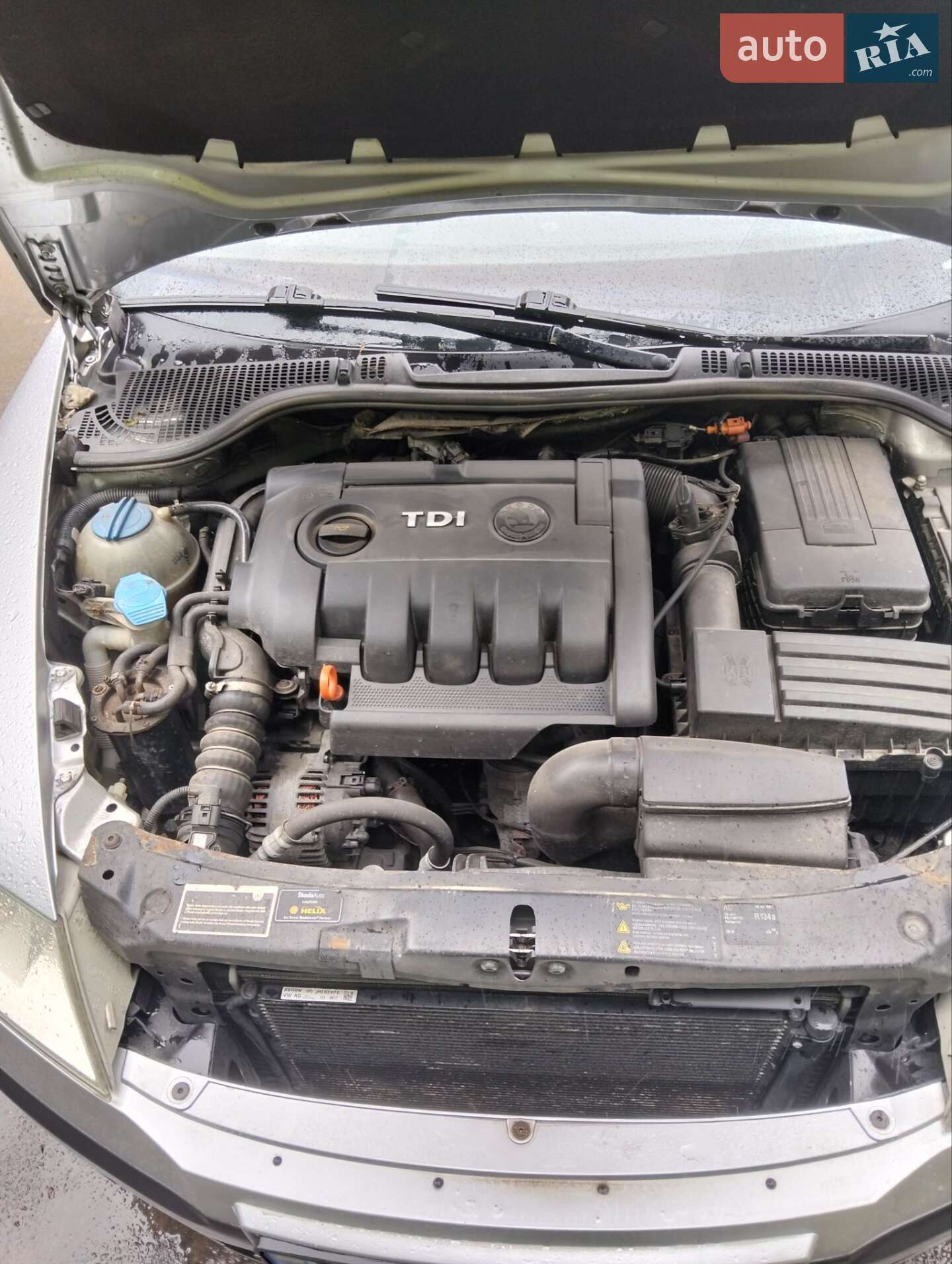 Skoda Octavia 2008 VIN TMBJS61Z082126745 фото оголошення 13 з 14