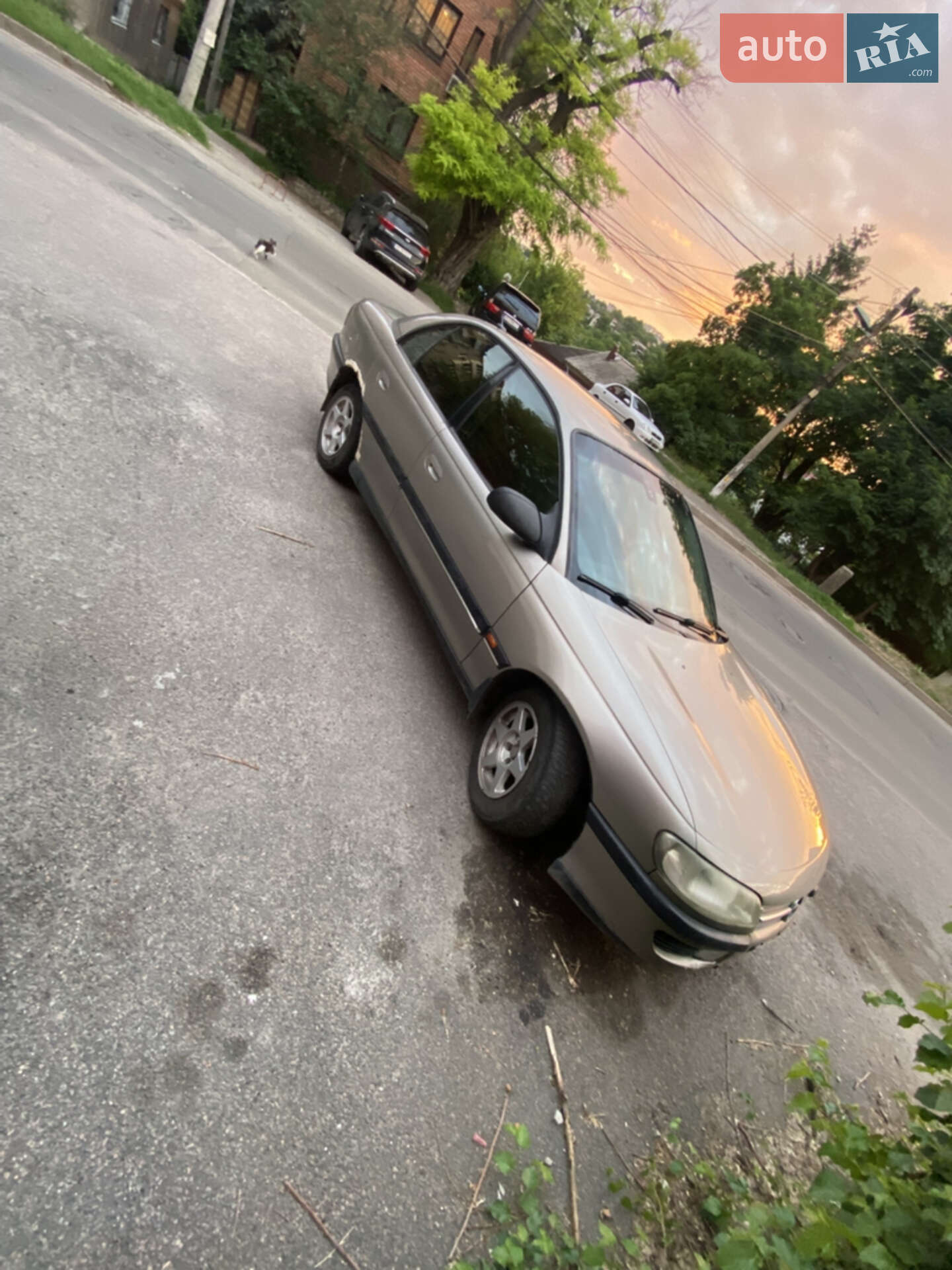 Opel Omega 1996 VIN W0L000025T1130212 фото оголошення 2 з 12