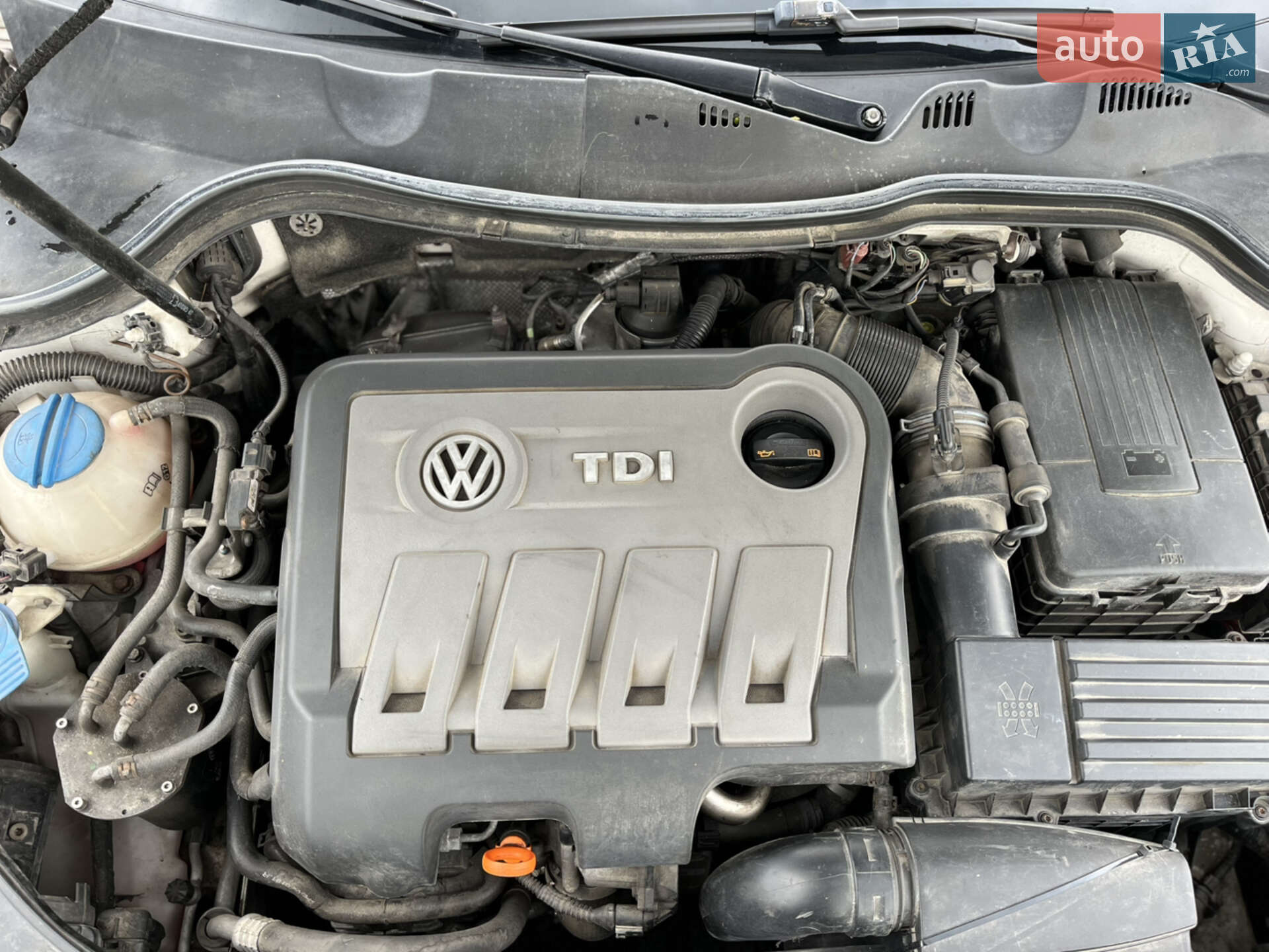Volkswagen Passat 2012 VIN WVWZZZ3CZCE169890 фото оголошення 19 з 21