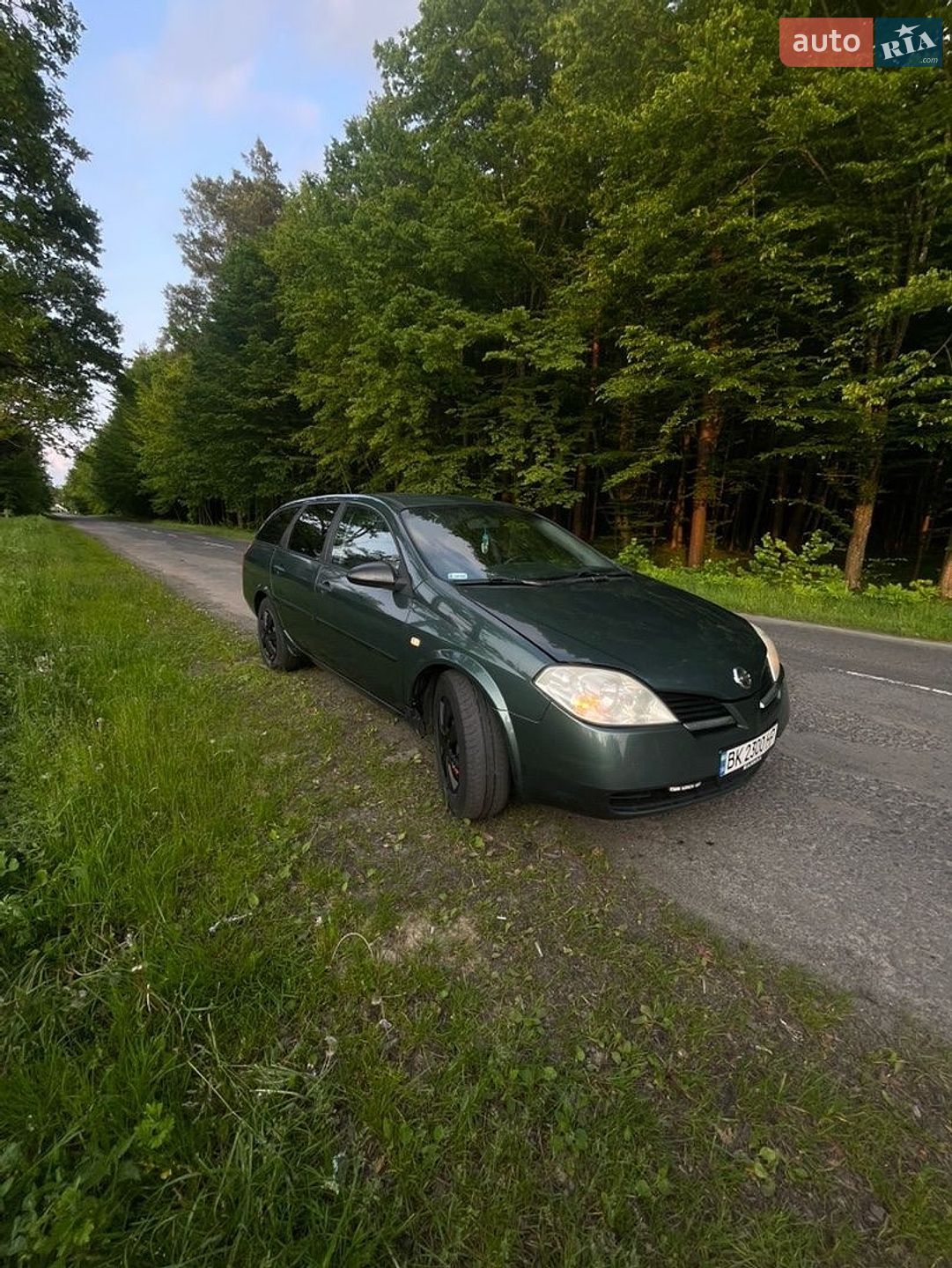 Nissan Primera 2002 VIN SJNTEAP12U0047065 фото оголошення 14 з 14