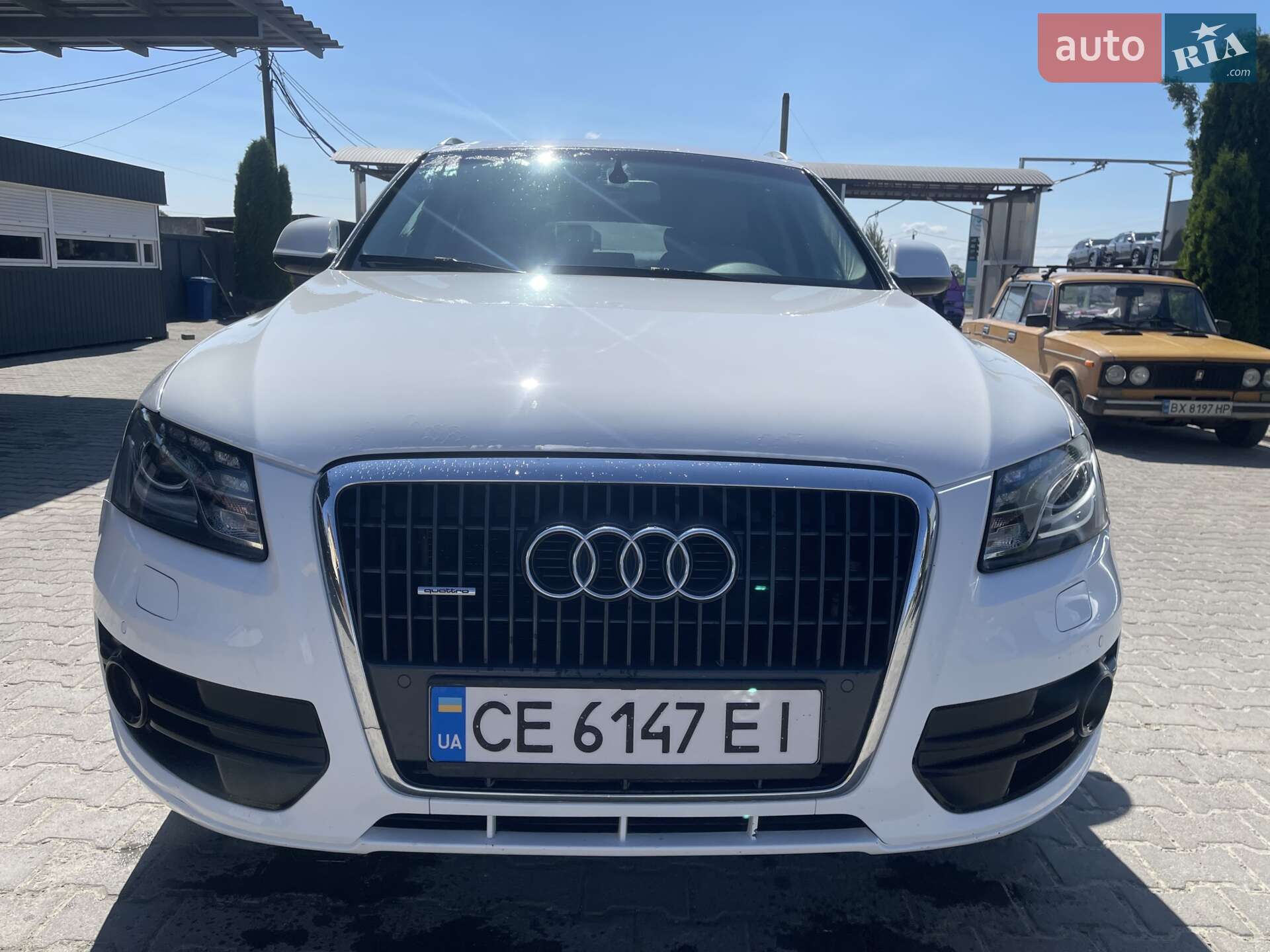 Audi Q5 2010 VIN WAUZZZ8R9AA050277 фото оголошення 13 з 13