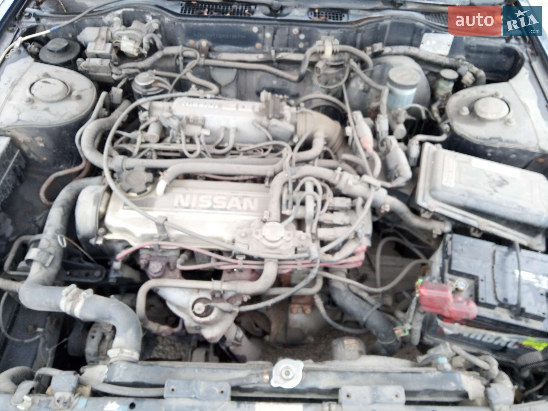 Nissan Bluebird 1986 VIN JN10FNT12U0115693 фото оголошення 3 з 9