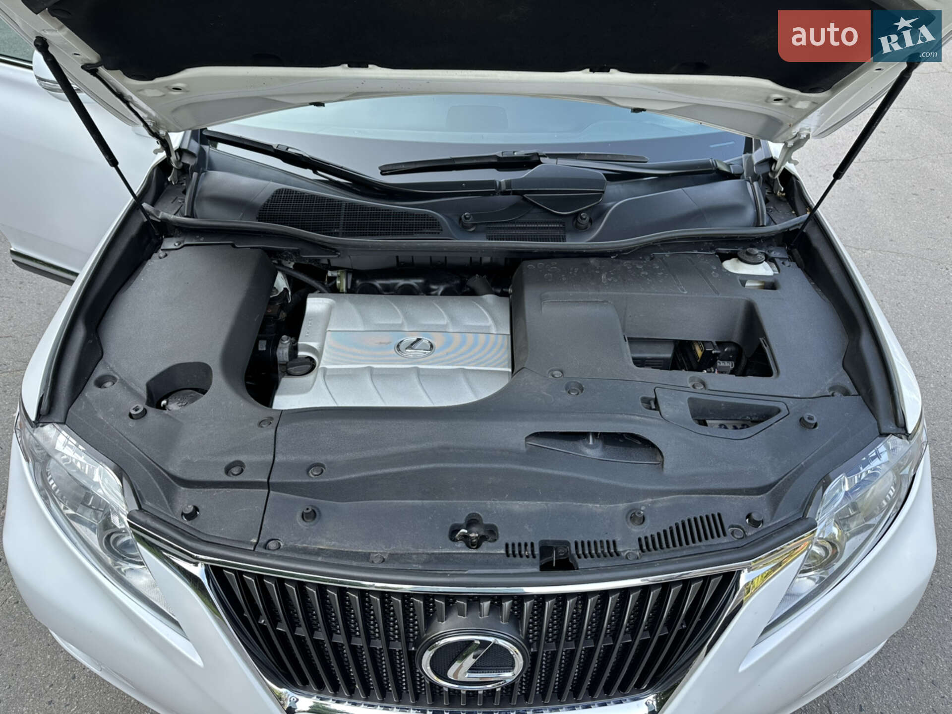 Lexus RX 2011 VIN 2T2BK1BA7BC099564 фото оголошення 18 з 18