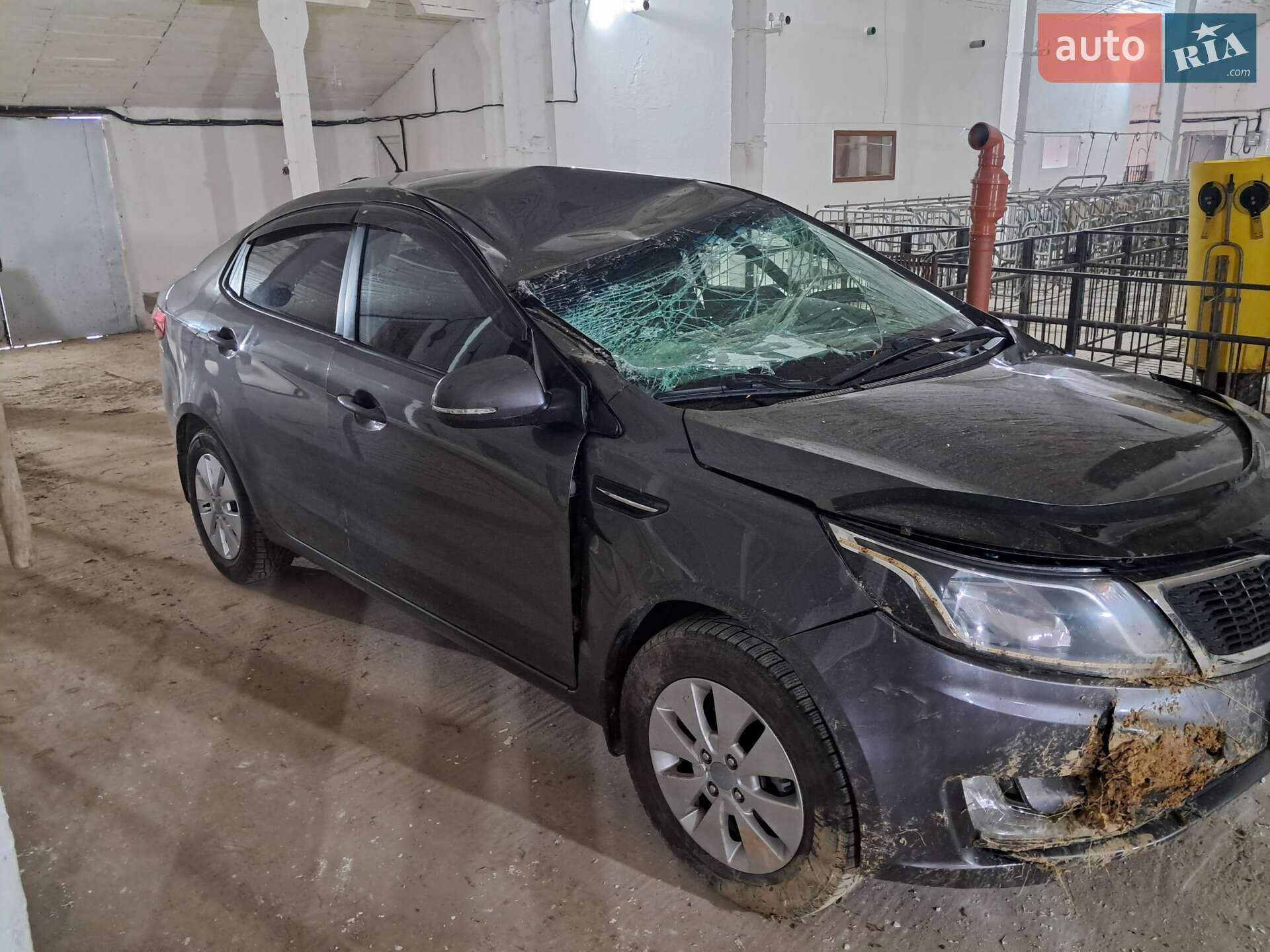 KIA RIO 2013 VIN Z94CC41BADR151275 фото оголошення 7 з 8