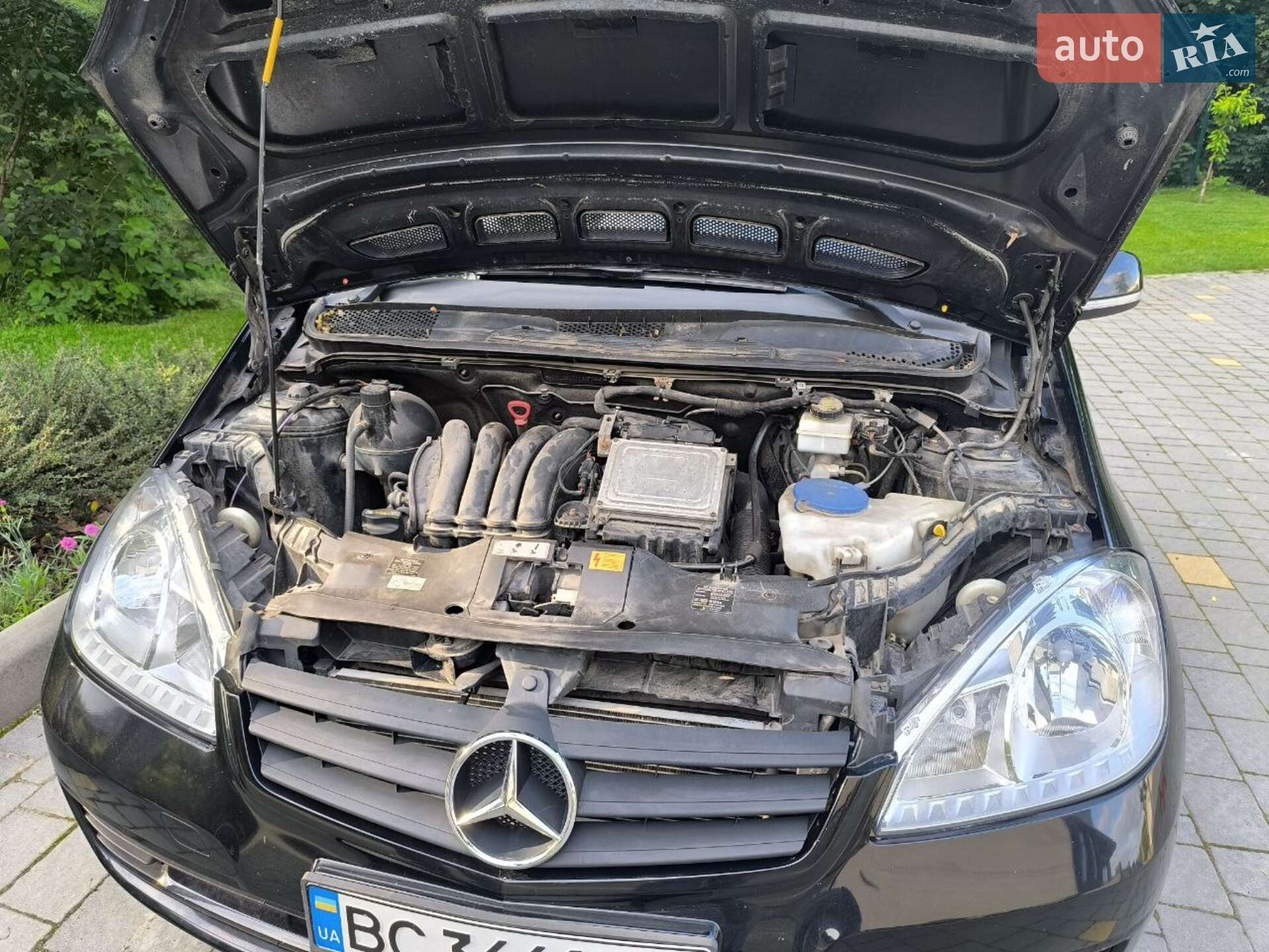 Mercedes-Benz A-Class 2010 VIN WDD1693311J879250 фото оголошення 16 з 17