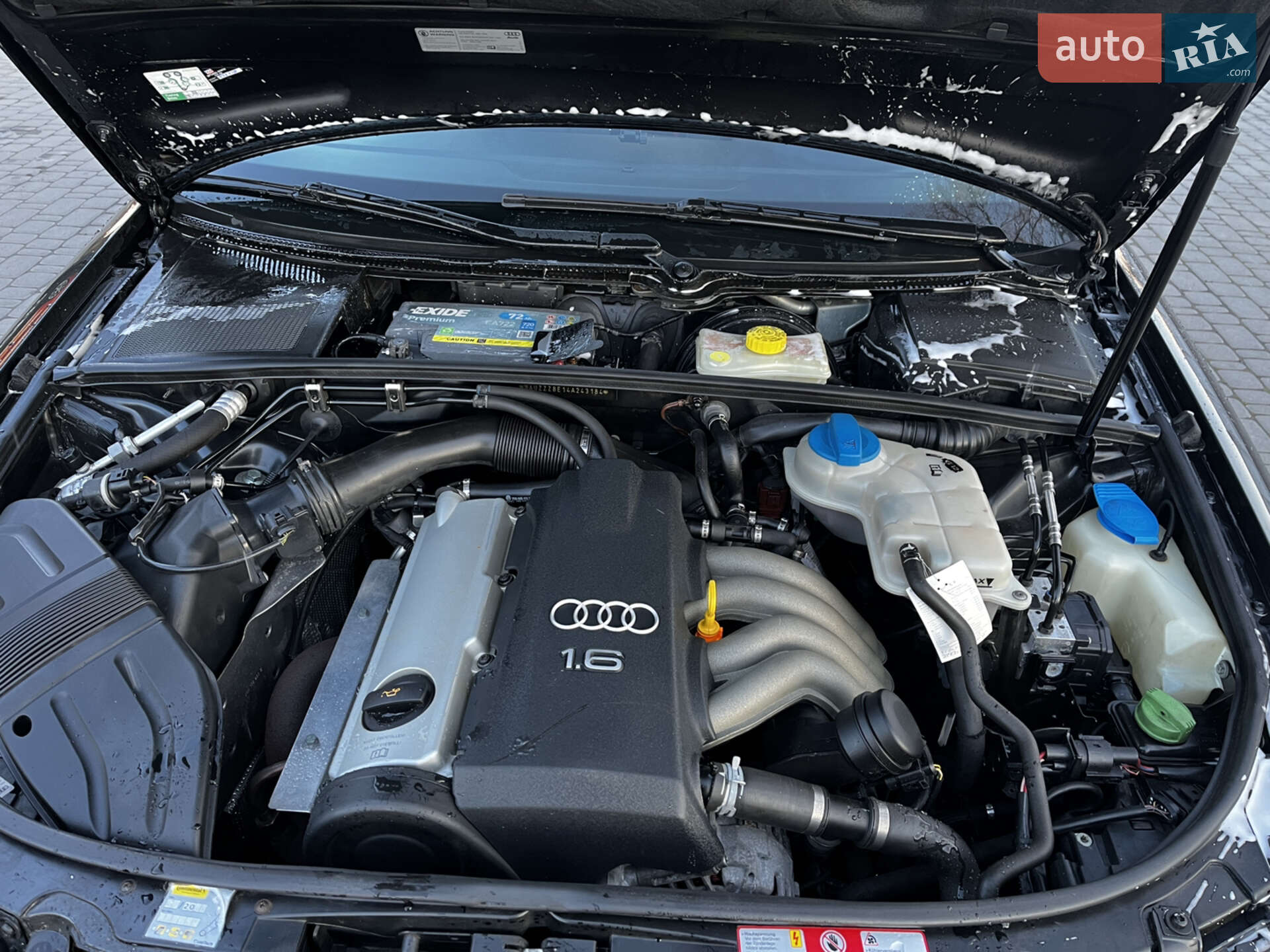 Audi A4 2004 VIN WAUZZZ8E14A243184 фото оголошення 8 з 8