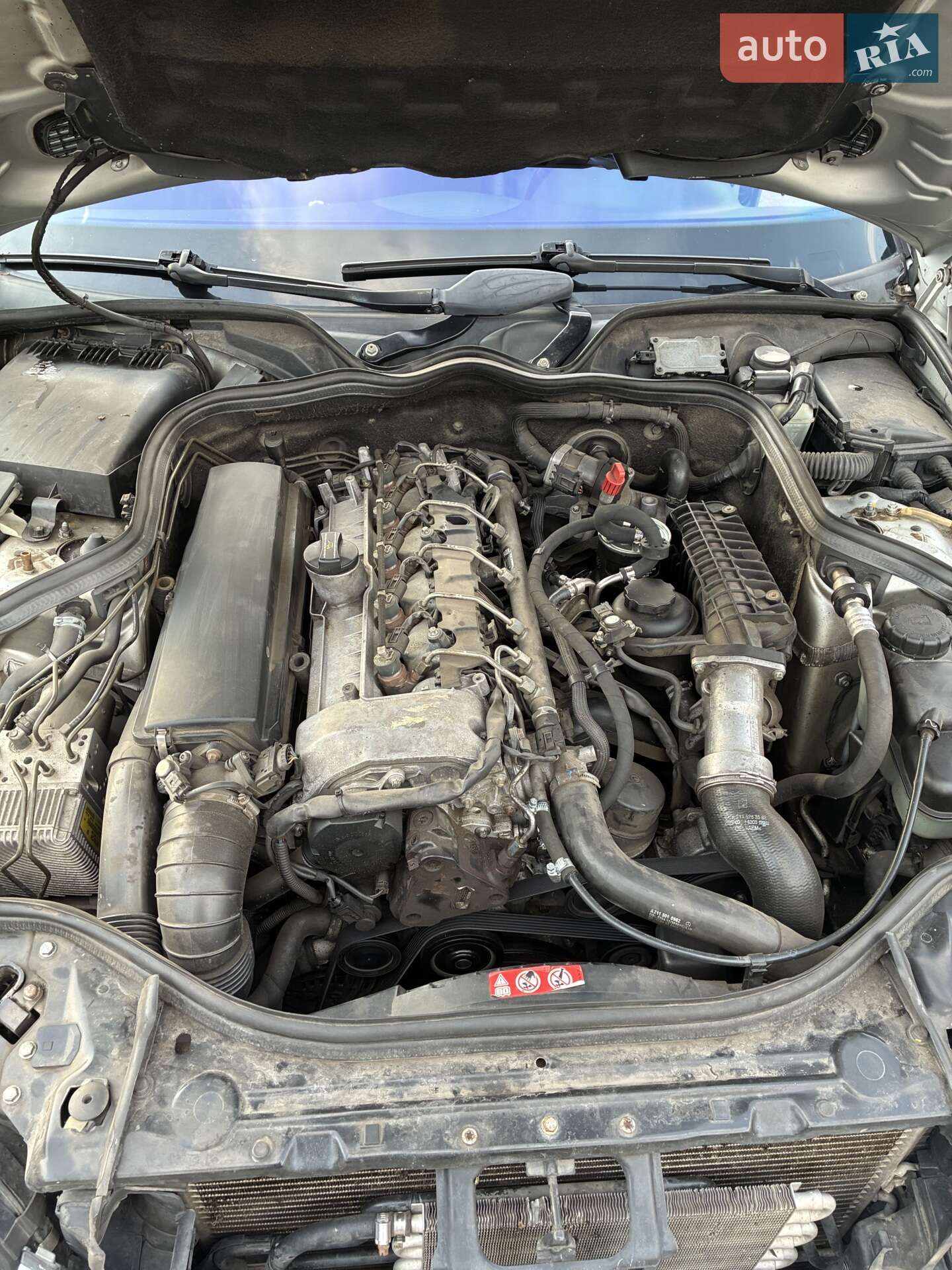Mercedes-Benz E-Class 2004 VIN WDB2112161A548916 фото оголошення 14 з 14