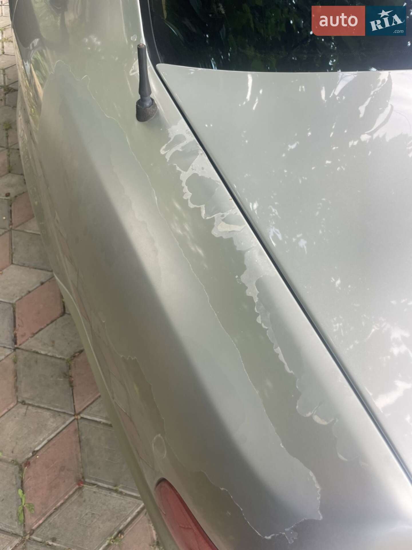 Audi A8 1997 VIN WAUZZZ4DZVN006670 фото оголошення 20 з 29