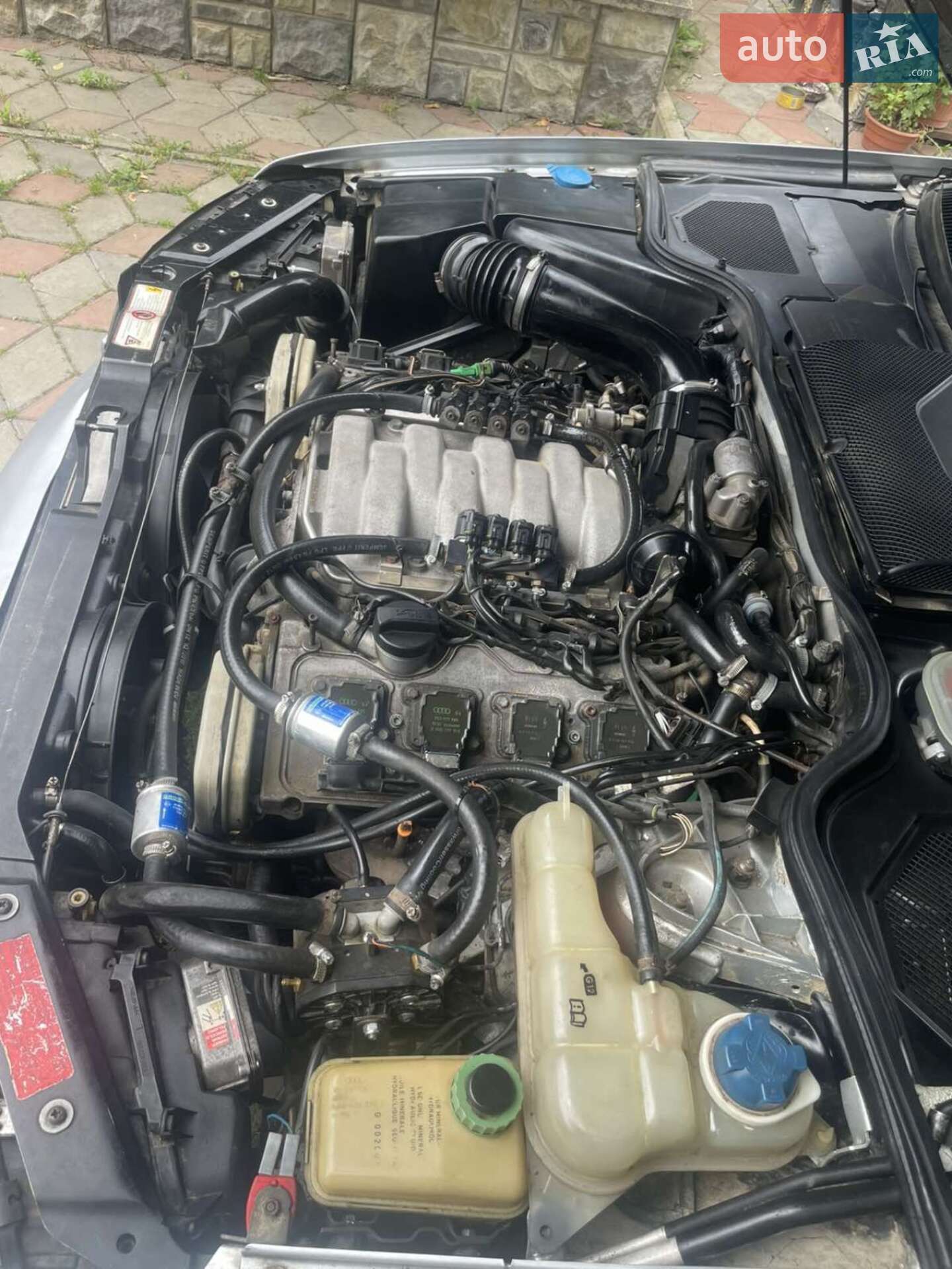 Audi A8 1997 VIN WAUZZZ4DZVN006670 фото оголошення 27 з 29