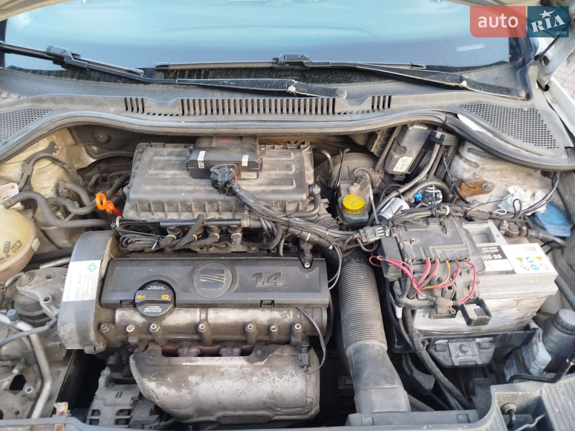 SEAT Ibiza 2013 VIN VSSZZZ6JZDR165373 фото оголошення 2 з 17