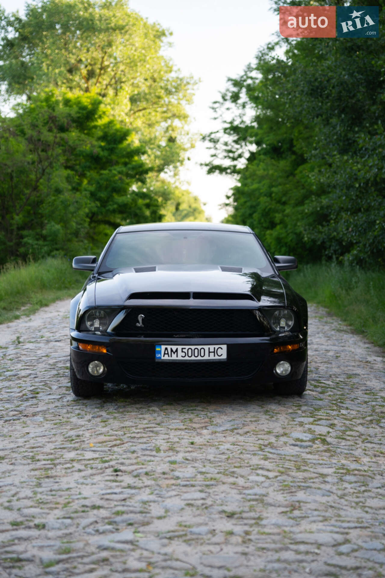 Ford Mustang 2008 VIN 1ZVHT80N485196198 фото оголошення 2 з 10
