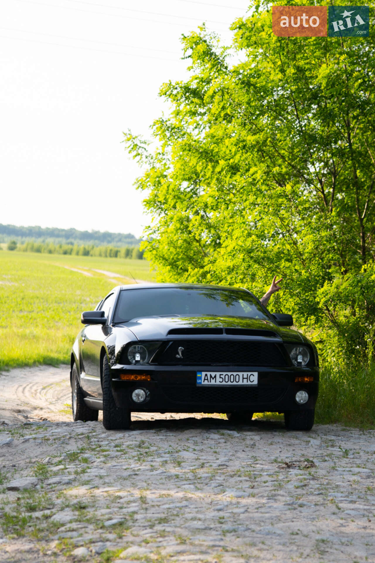 Ford Mustang 2008 VIN 1ZVHT80N485196198 фото оголошення 3 з 10