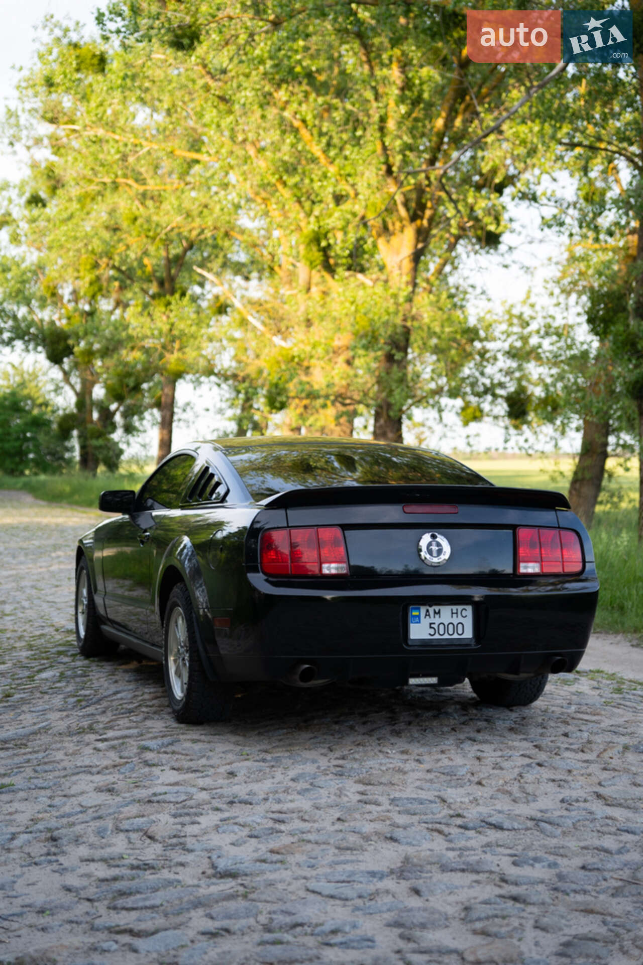 Ford Mustang 2008 VIN 1ZVHT80N485196198 фото оголошення 4 з 10