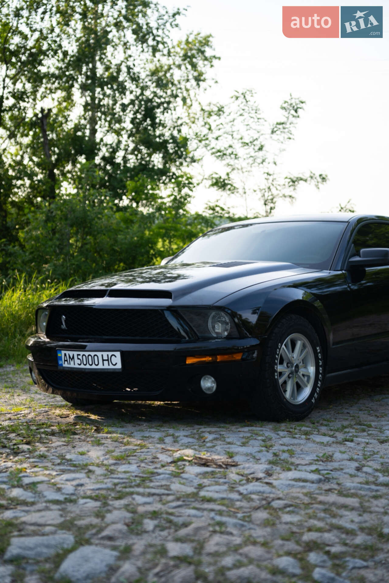 Ford Mustang 2008 VIN 1ZVHT80N485196198 фото оголошення 6 з 10