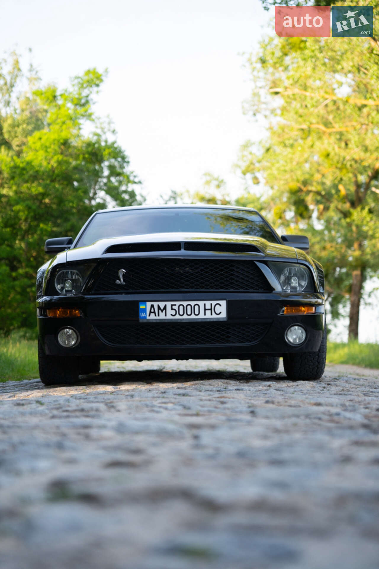 Ford Mustang 2008 VIN 1ZVHT80N485196198 фото оголошення 7 з 10