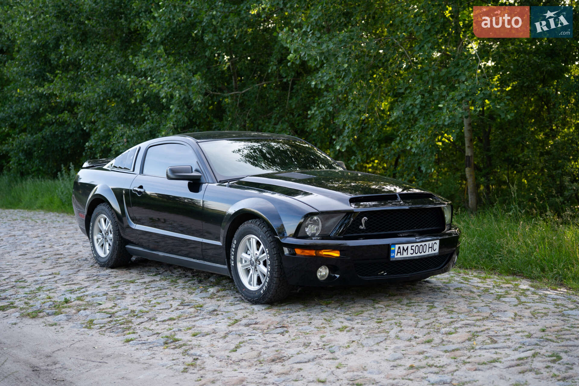 Ford Mustang 2008 VIN 1ZVHT80N485196198 фото оголошення 10 з 10