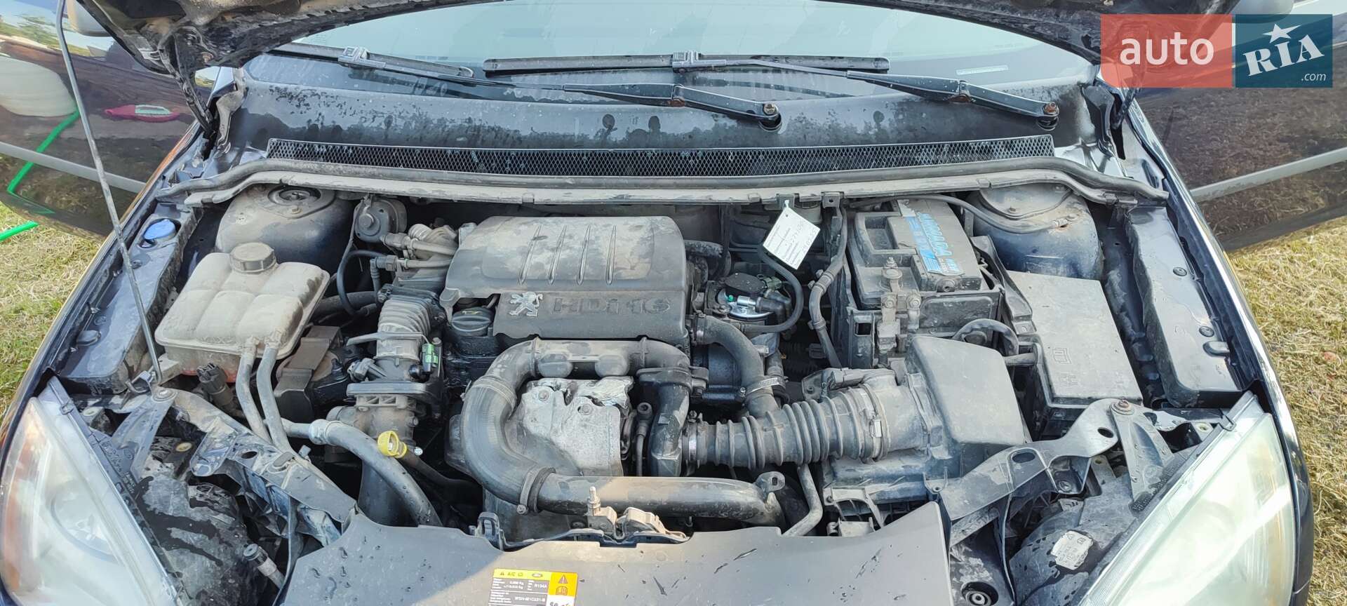 Ford Focus 2006 VIN WF0WXXGCDW6R28981 фото оголошення 6 з 16