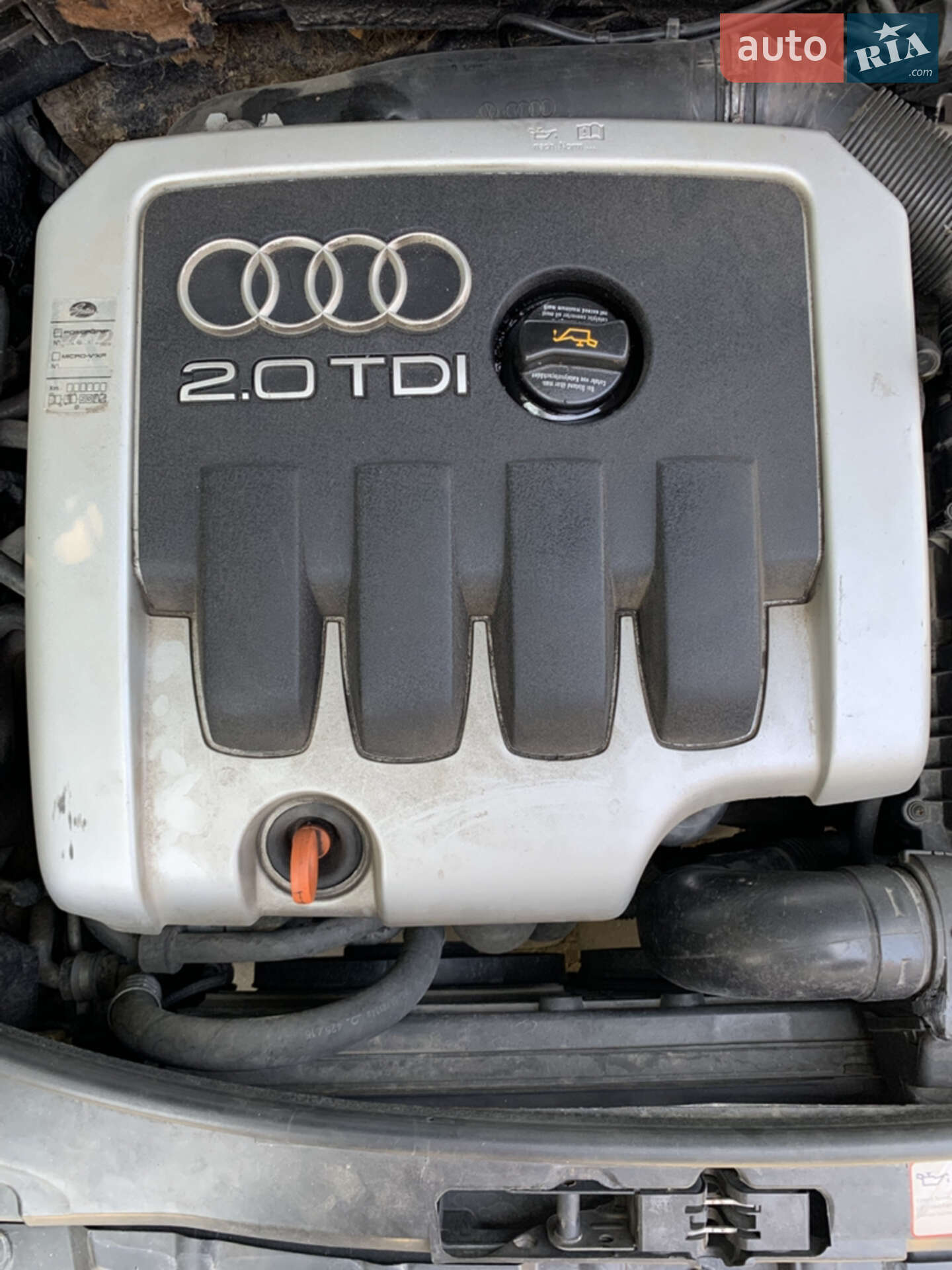 Audi A3 2004 VIN WAUZZZ8P65A023302 фото оголошення 9 з 14