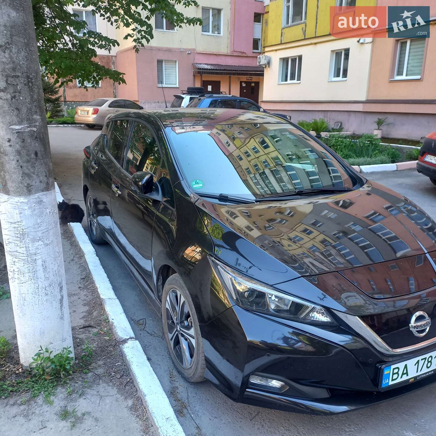 Nissan Leaf 2019 VIN SJNFAAZE1U0049236 фото оголошення 2 з 3