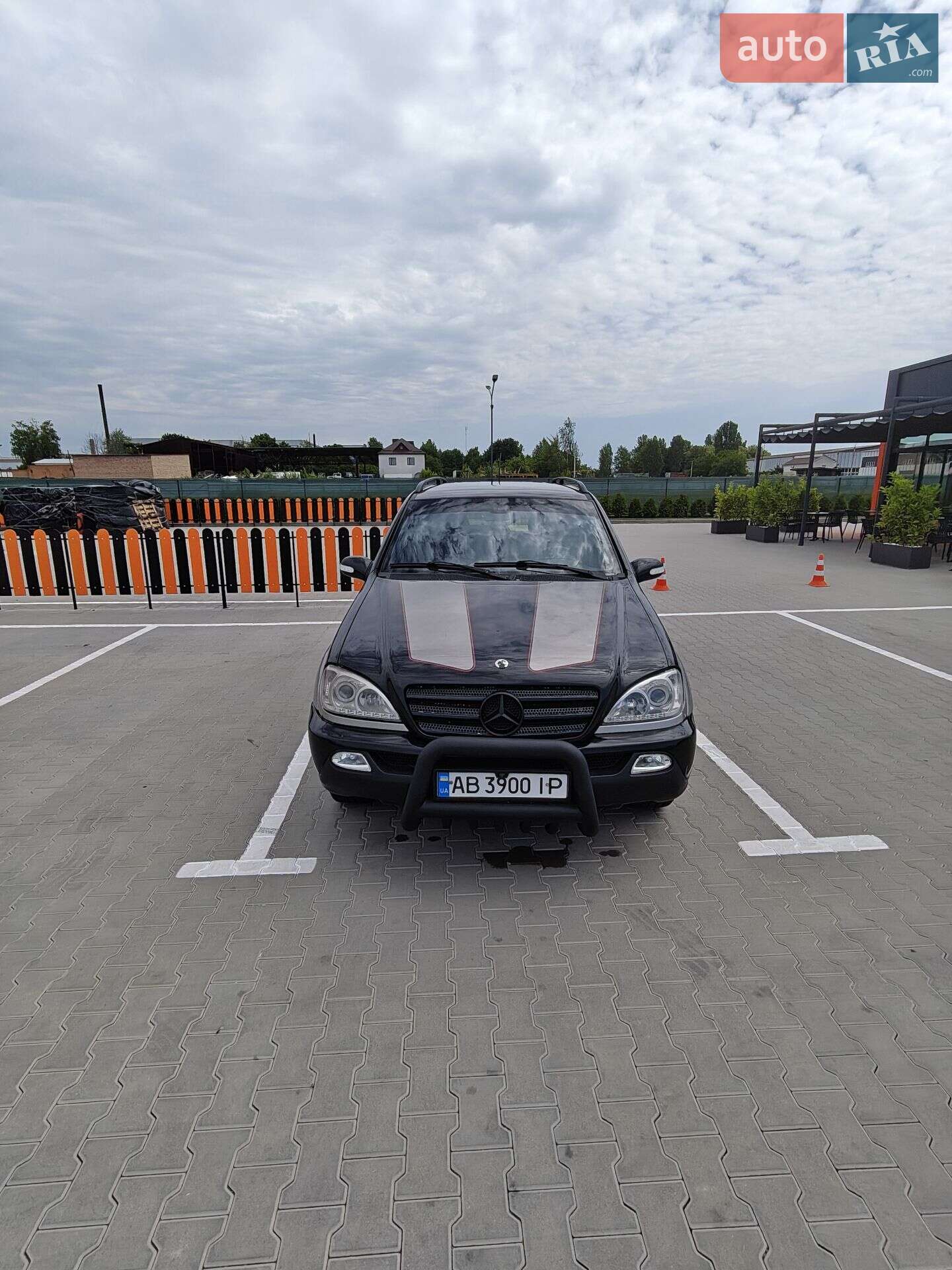 Mercedes-Benz M-Class 2002 VIN WDC1631131A361394 фото оголошення 4 з 9