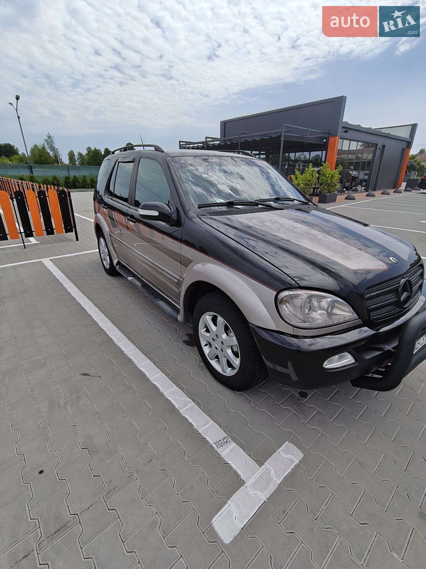 Mercedes-Benz M-Class 2002 VIN WDC1631131A361394 фото оголошення 5 з 9