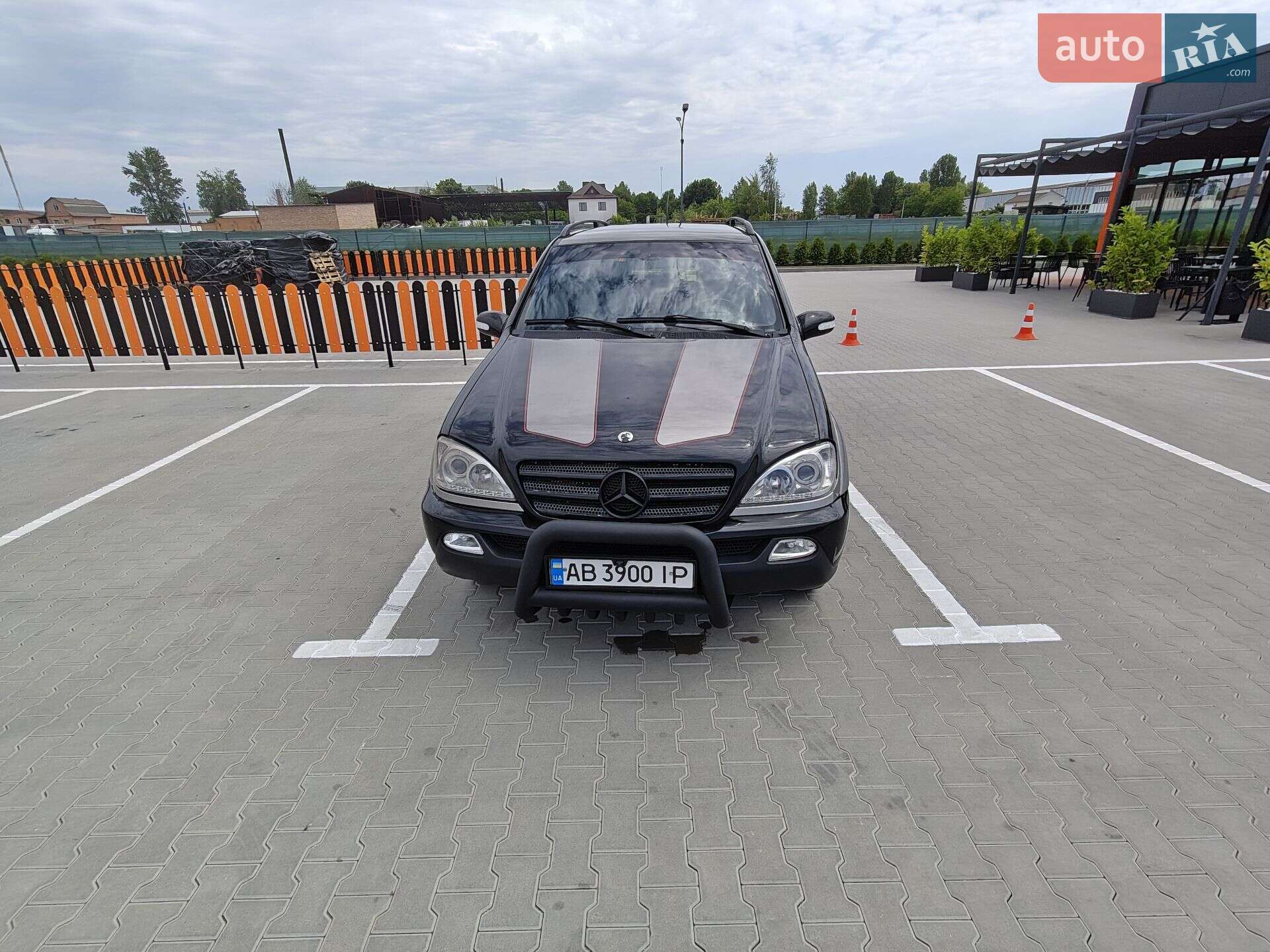 Mercedes-Benz M-Class 2002 VIN WDC1631131A361394 фото оголошення 8 з 9