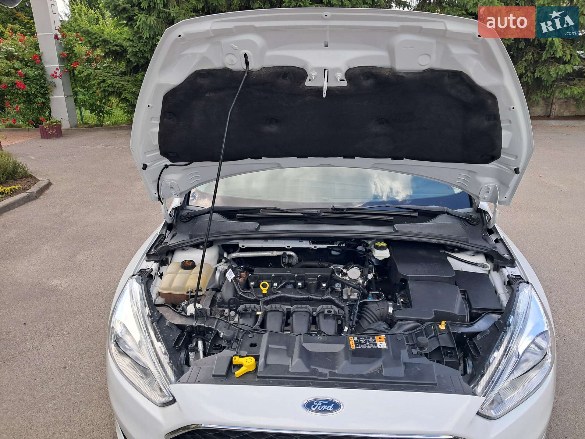 Ford Focus 2017 VIN 1FADP3F23HL216710 фото оголошення 66 з 125