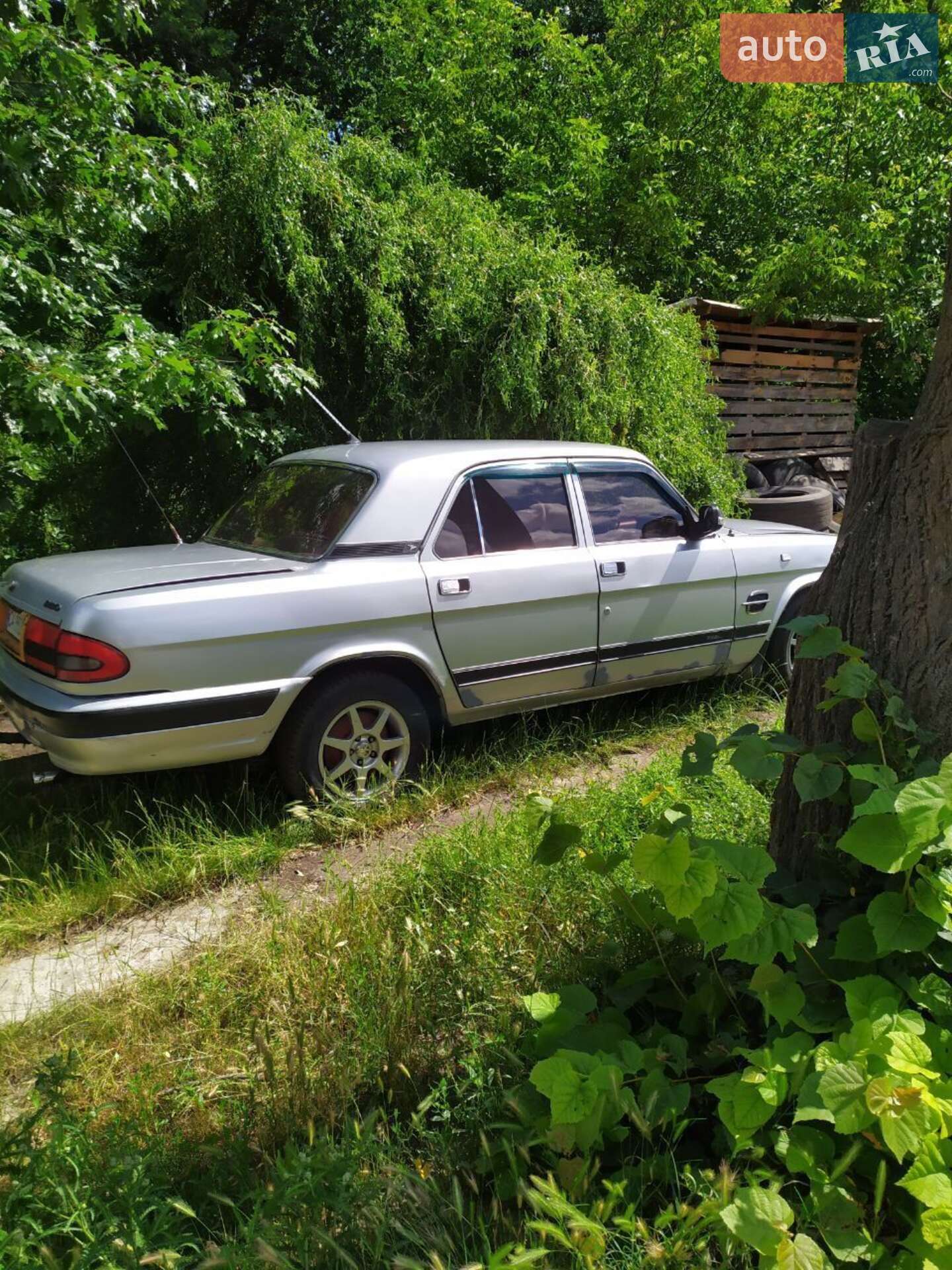 ГАЗ 3110 Волга 2003 VIN Y6F31100030000018 фото оголошення 12 з 22