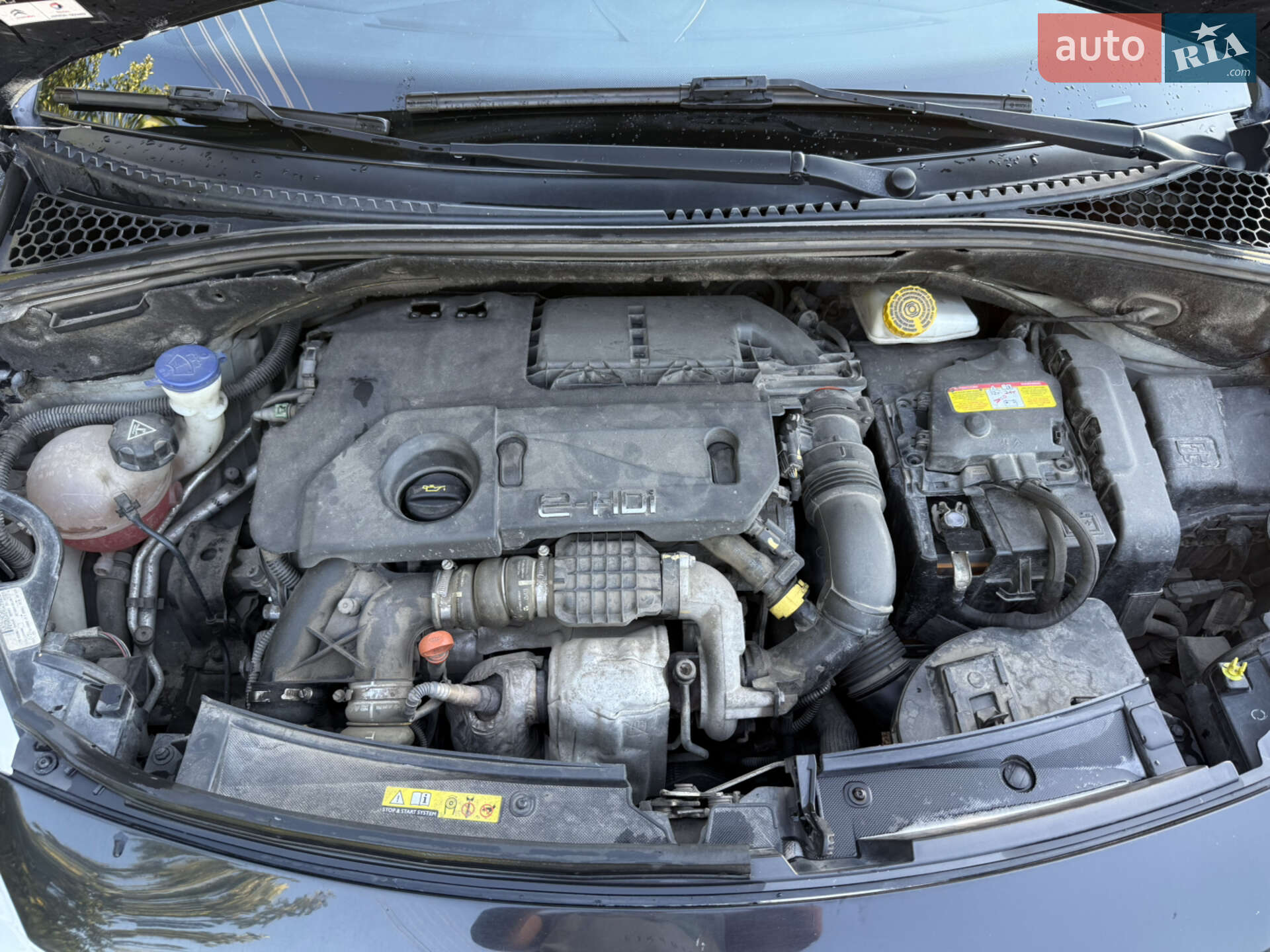 Citroen C3 2011 VIN VF7SC9HPKBW545030 фото оголошення 8 з 10