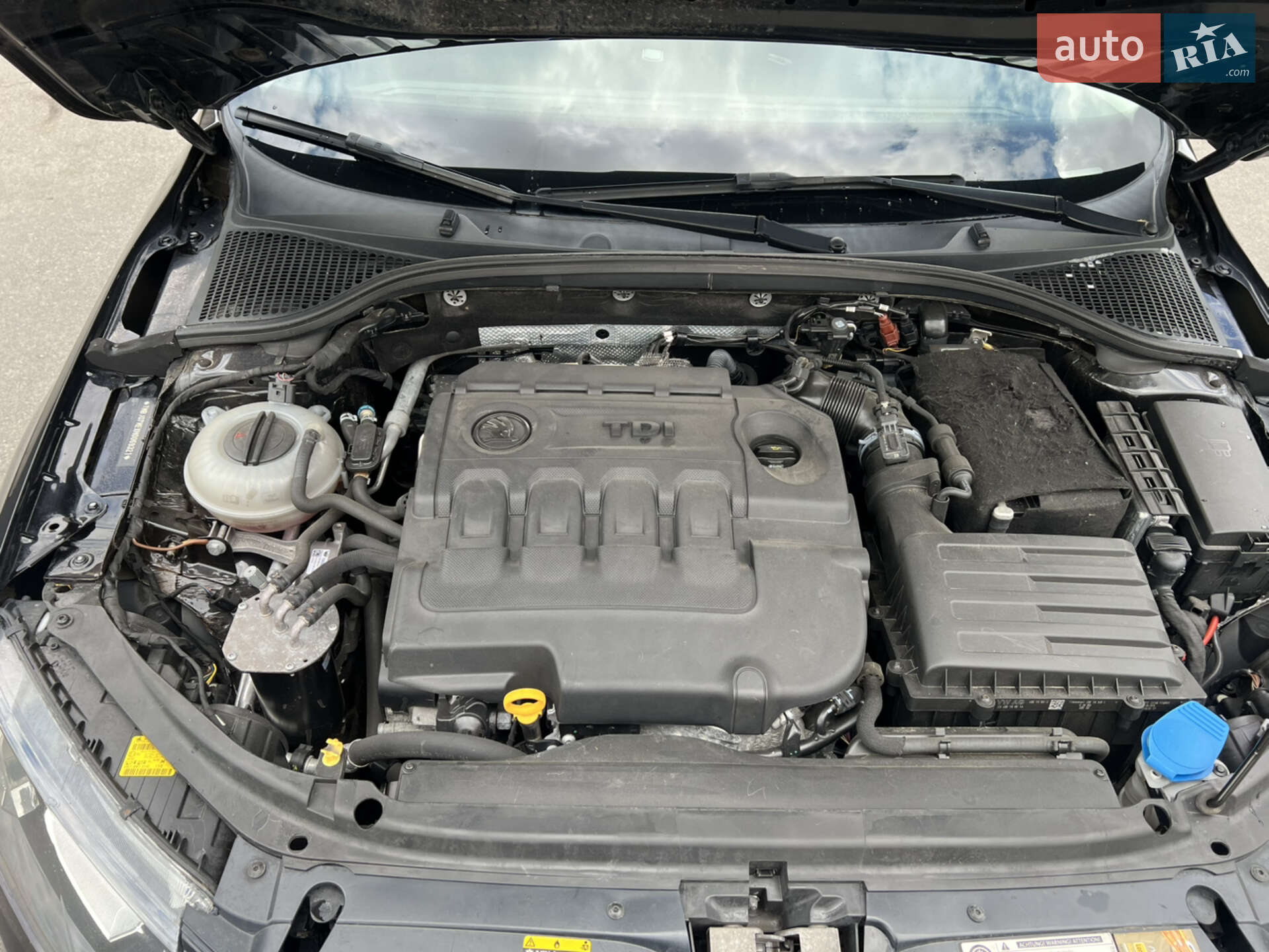 Skoda Octavia 2016 VIN TMBJG7NEXH0069321 фото оголошення 16 з 16