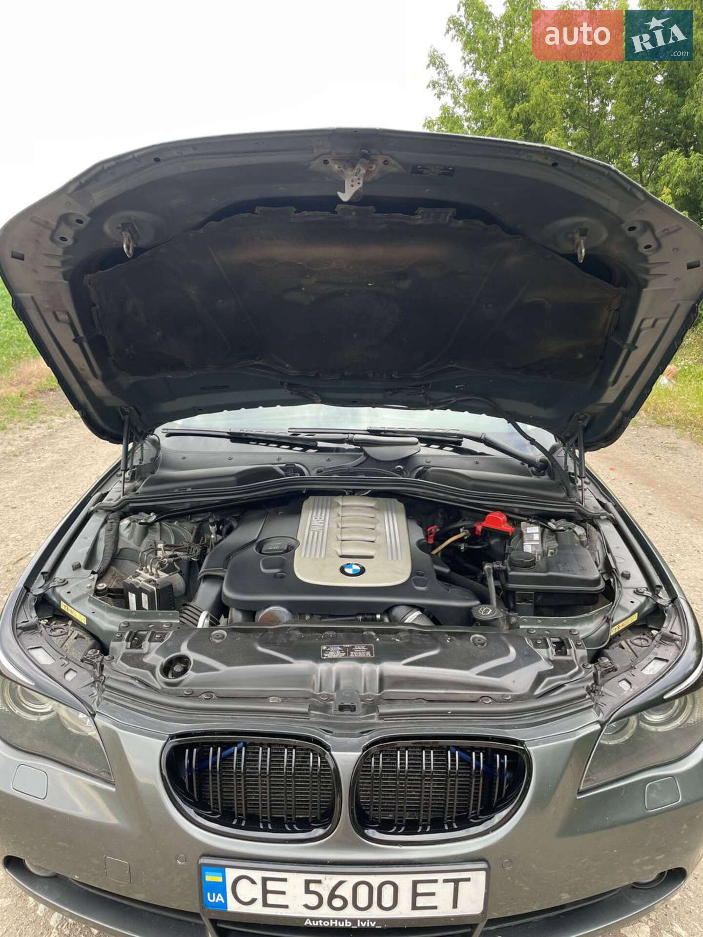 BMW 5 Series 2006 VIN WBANC51010CN43815 фото оголошення 11 з 18