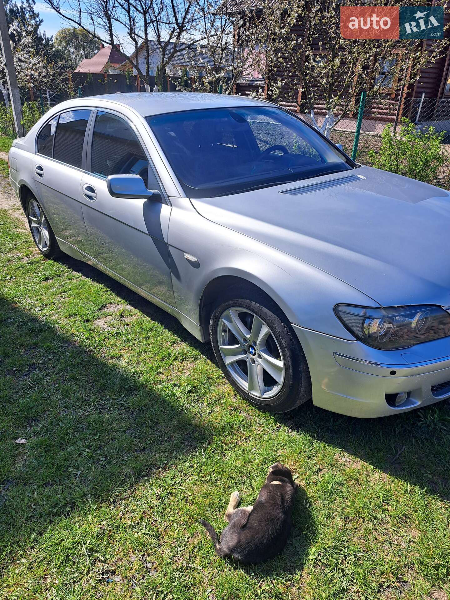 BMW 7 Series 2003 VIN WBAGM21020DR51688 фото оголошення 3 з 16