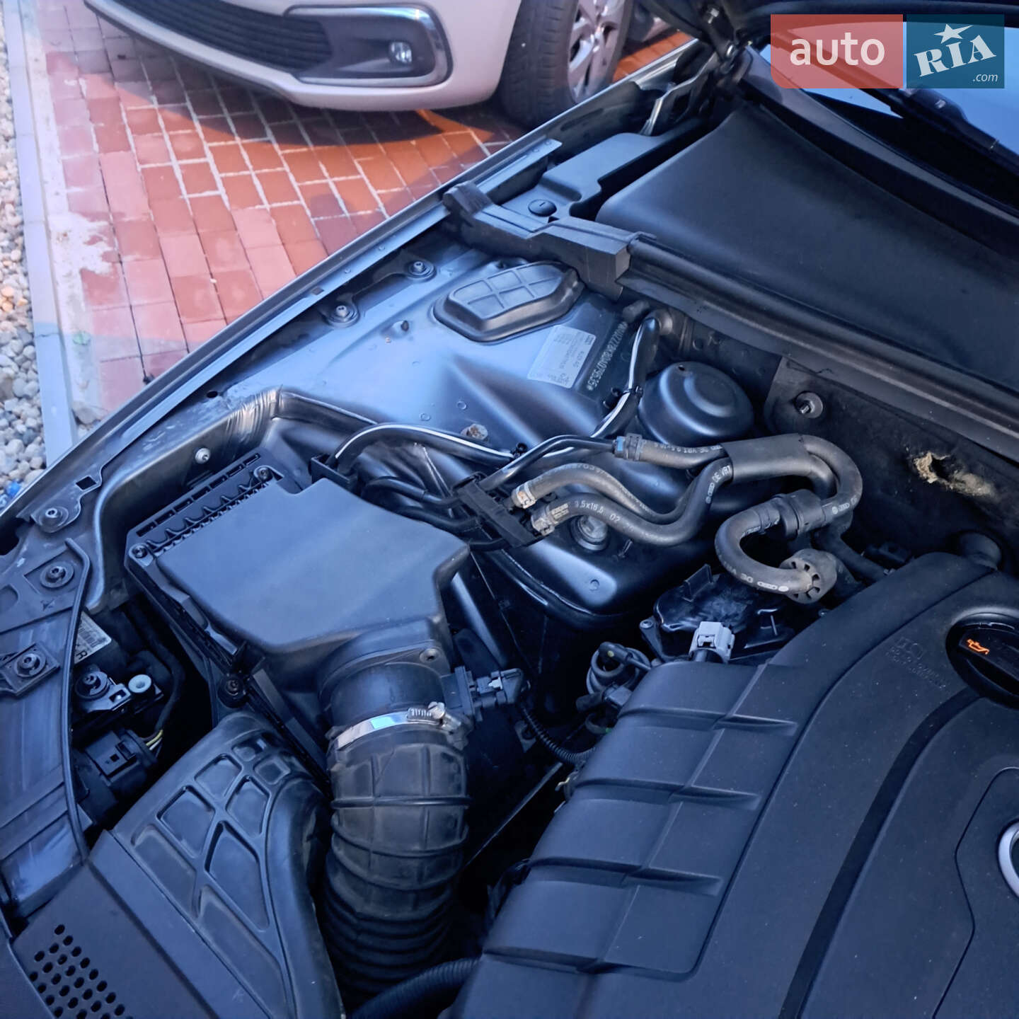Audi A4 2012 VIN WAUZZZ8K8DA079535 фото оголошення 62 з 98