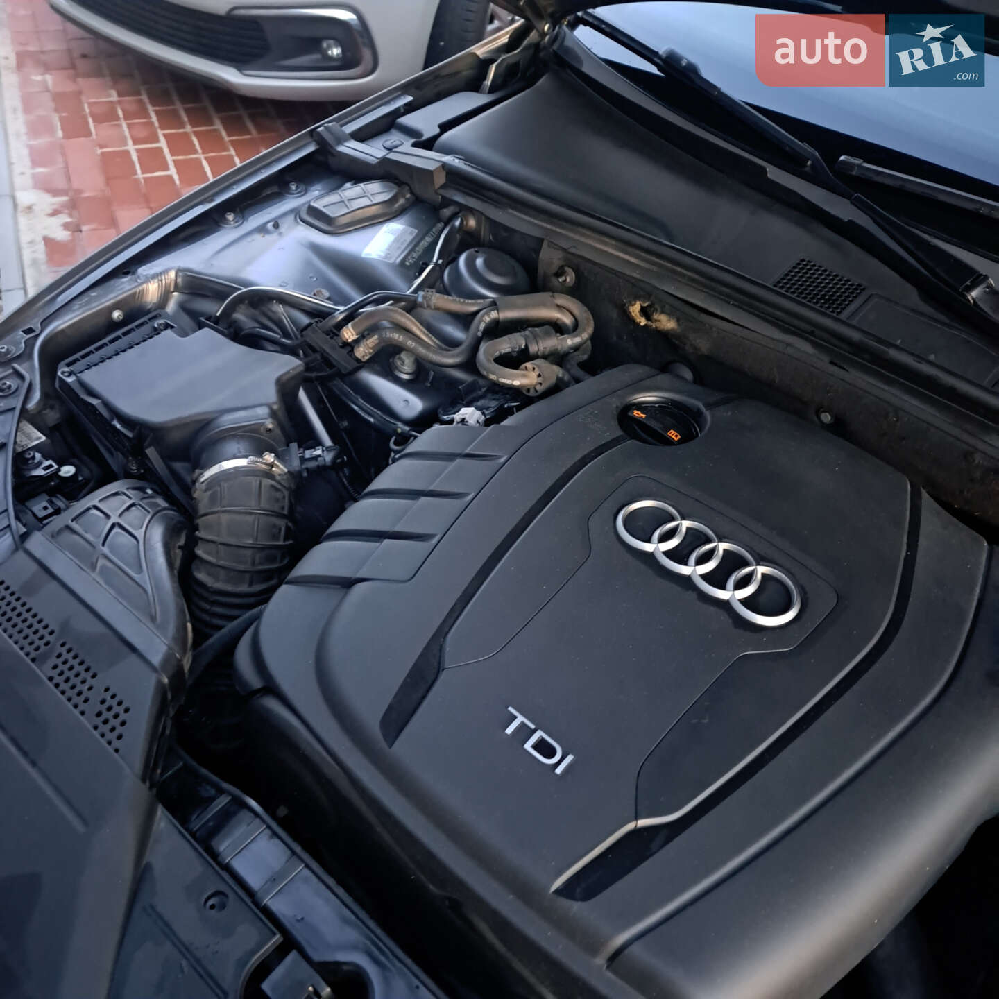 Audi A4 2012 VIN WAUZZZ8K8DA079535 фото оголошення 80 з 98