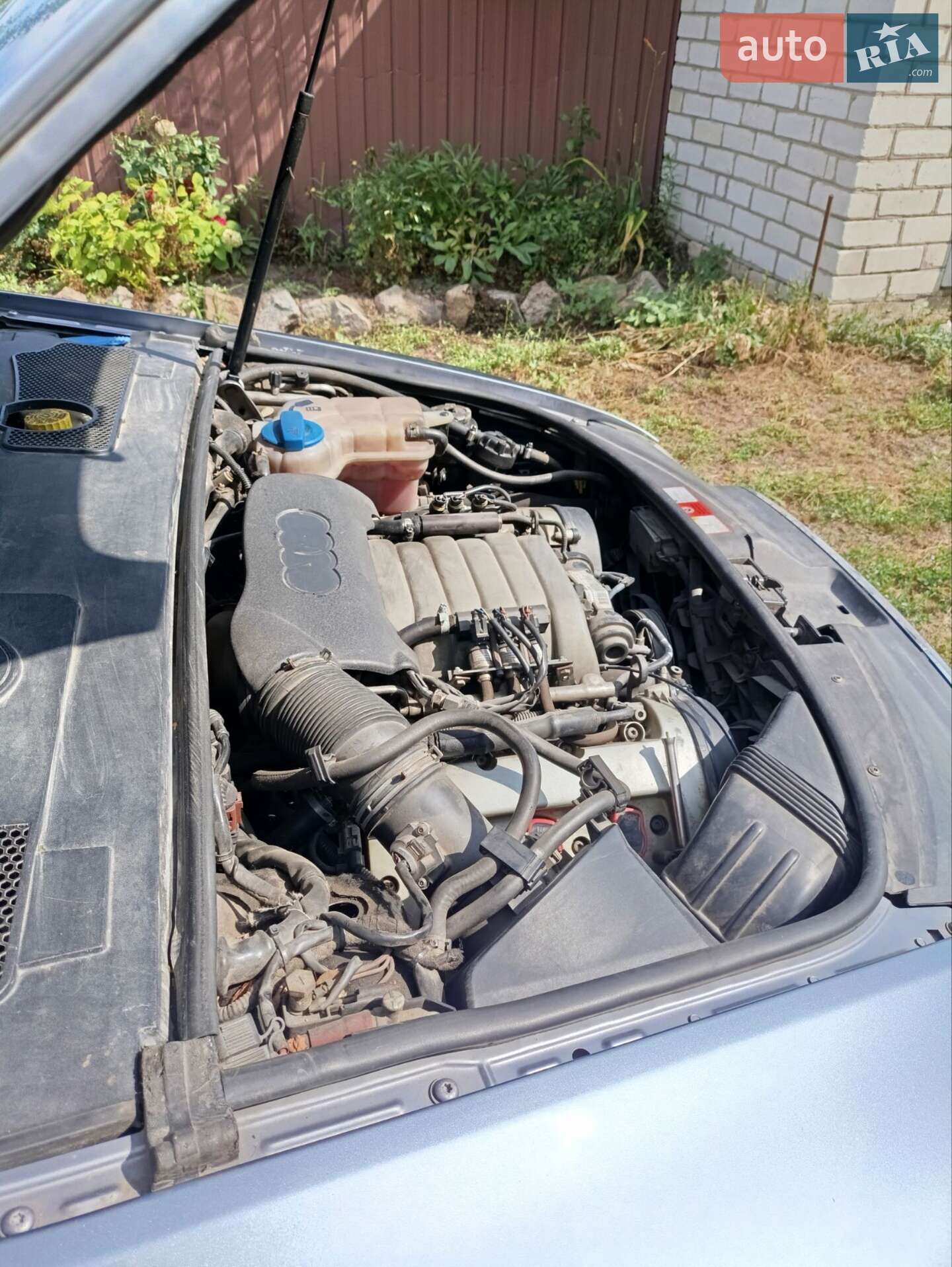 Audi A6 2006 VIN WAUZZZ4F56N053303 фото оголошення 8 з 8