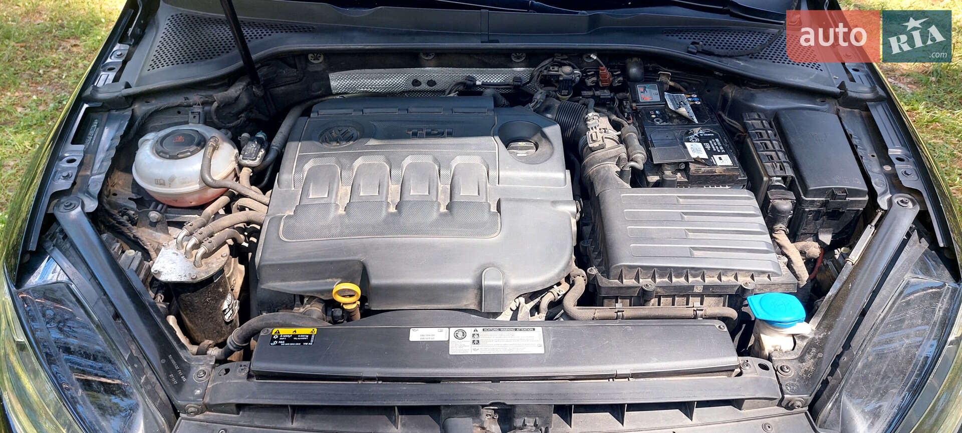 Volkswagen Golf 2017 VIN WVWZZZAUZJP557093 фото оголошення 30 з 40