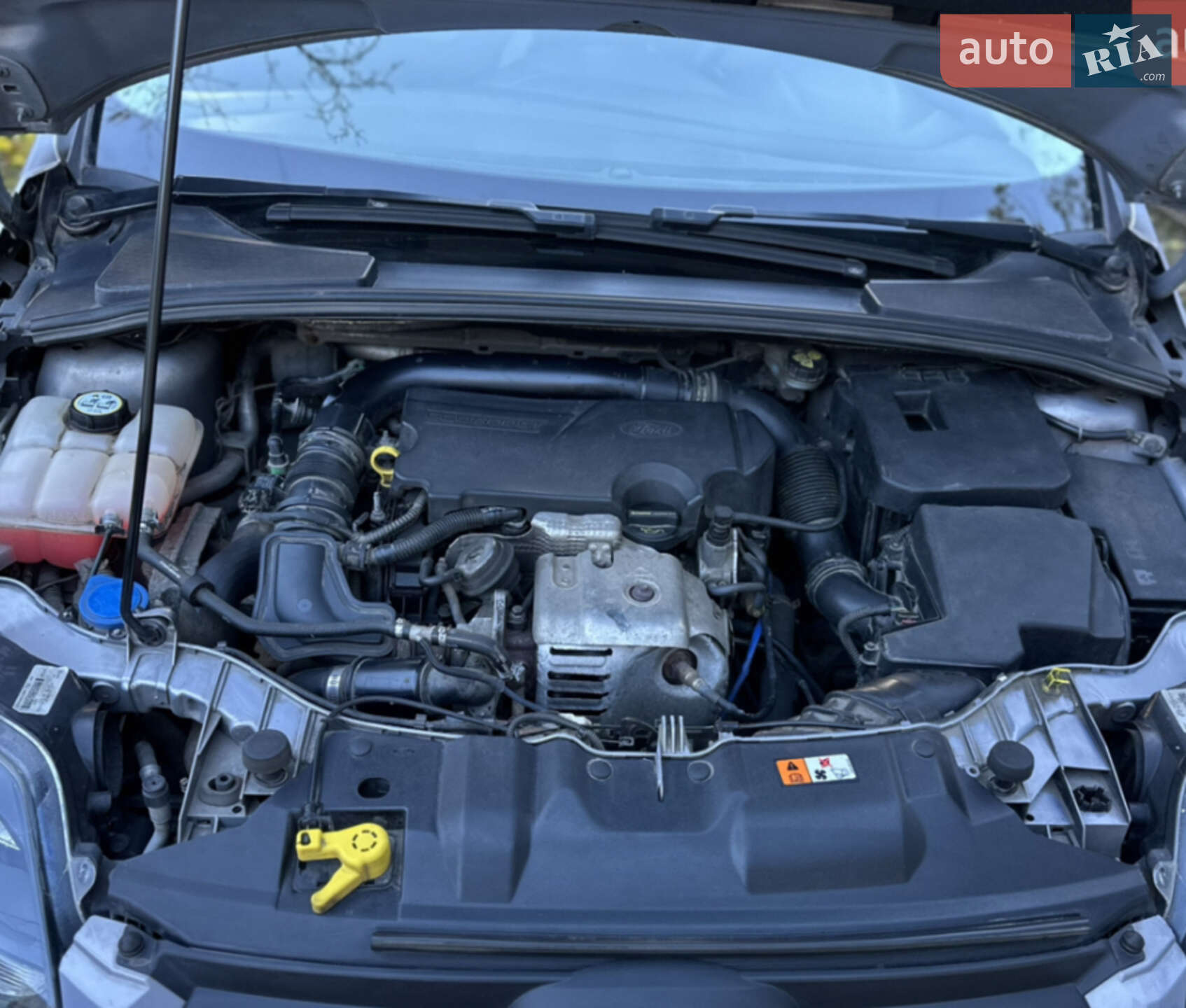 Ford Focus 2013 VIN WF0KXXGCBKDA28992 фото оголошення 16 з 19
