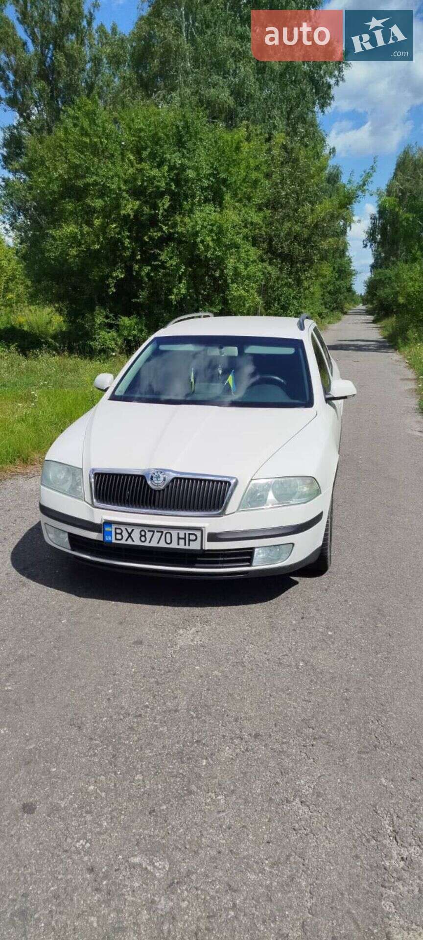 Skoda Octavia 2005 VIN TMBHS21Z152092804 фото оголошення 6 з 6