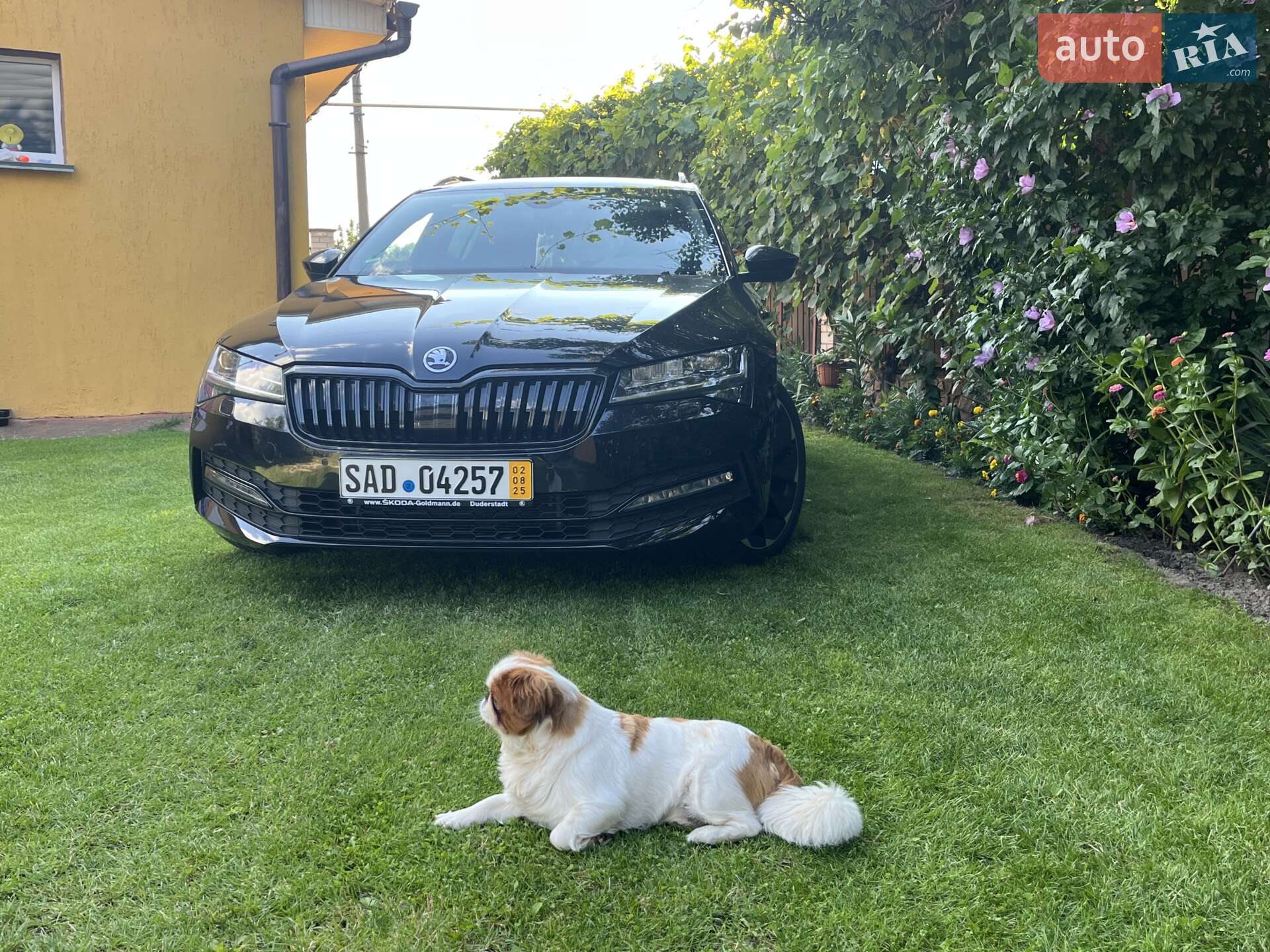 Skoda Superb 2020 VIN TMBLJ7NP0L7074930 фото оголошення 4 з 48