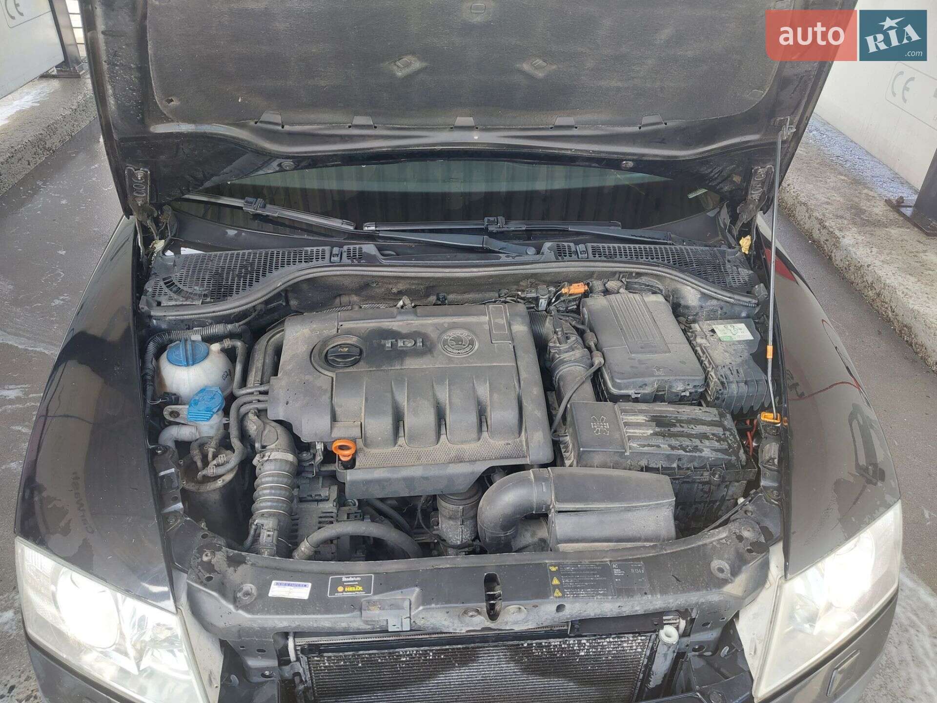 Skoda Octavia 2008 VIN TMBGS61Z782106356 фото оголошення 2 з 11