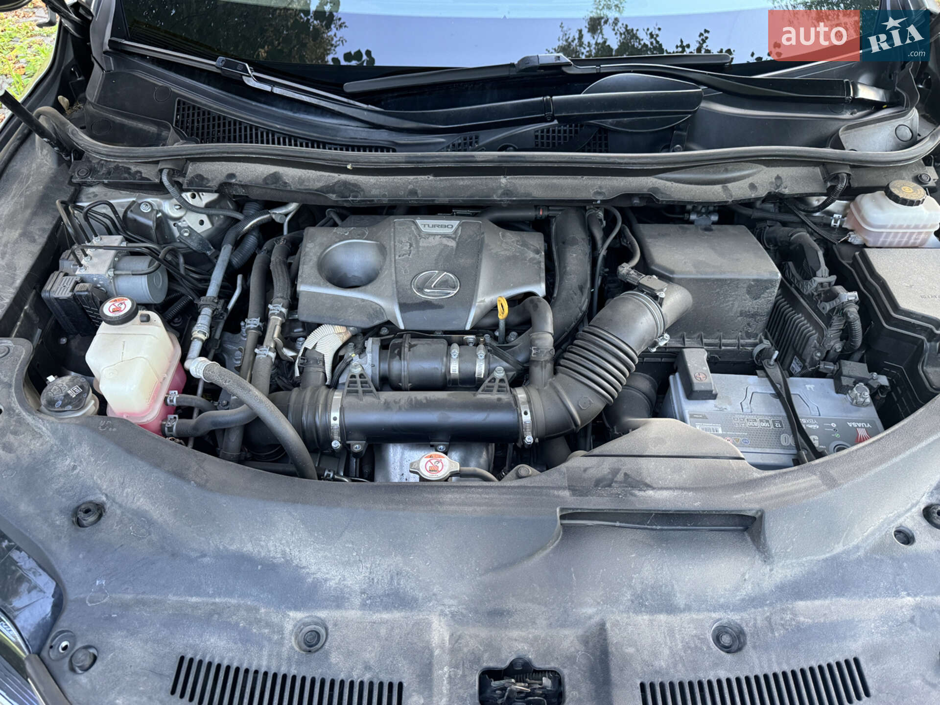Lexus RX 2016 VIN JTJBAMCA102014203 фото оголошення 17 з 18