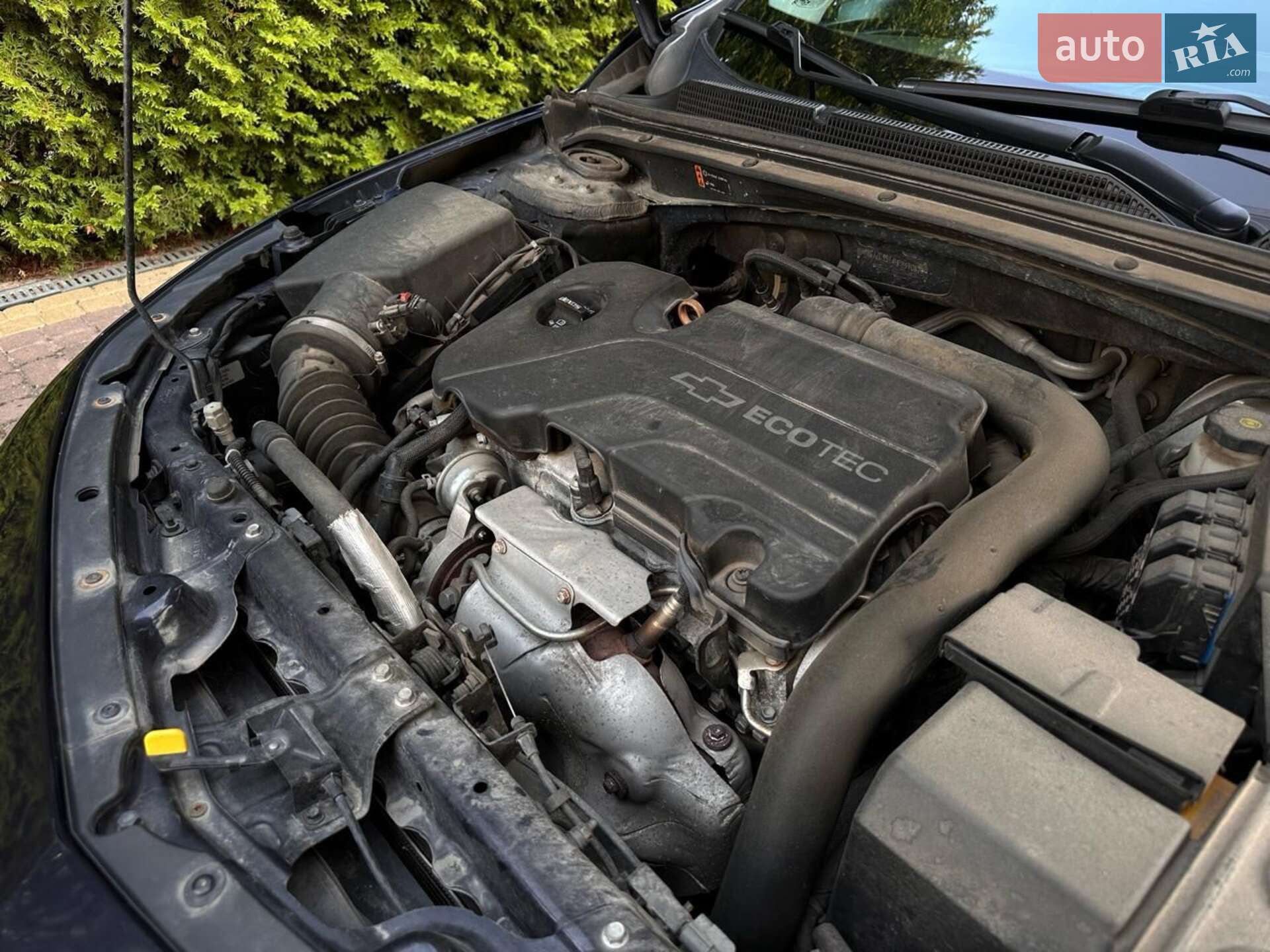Chevrolet Malibu 2017 VIN 1G1ZC5ST4HF259031 фото оголошення 20 з 20
